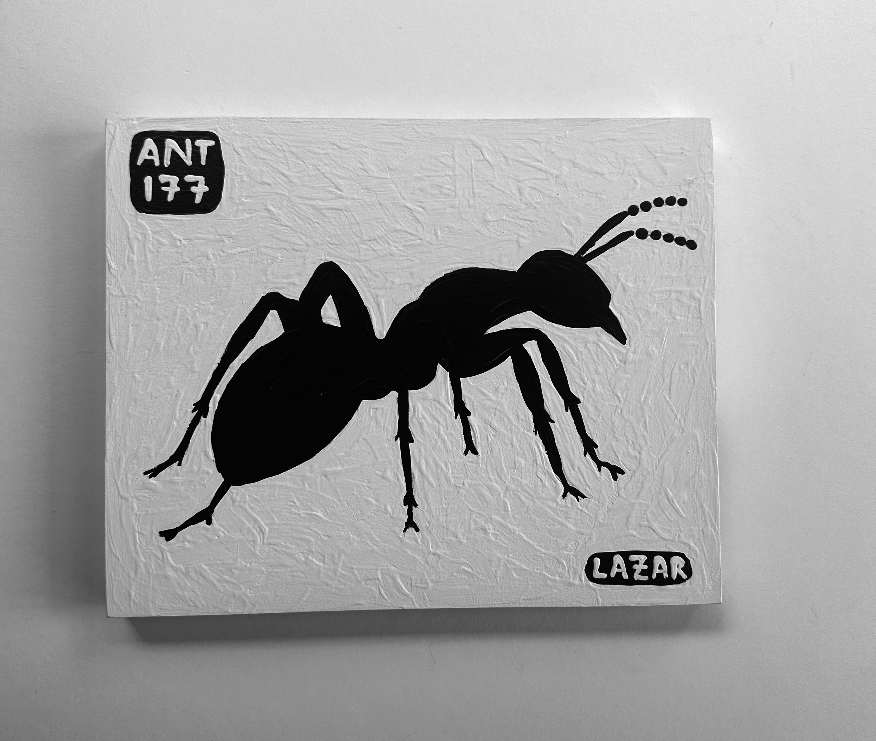 Ant #177