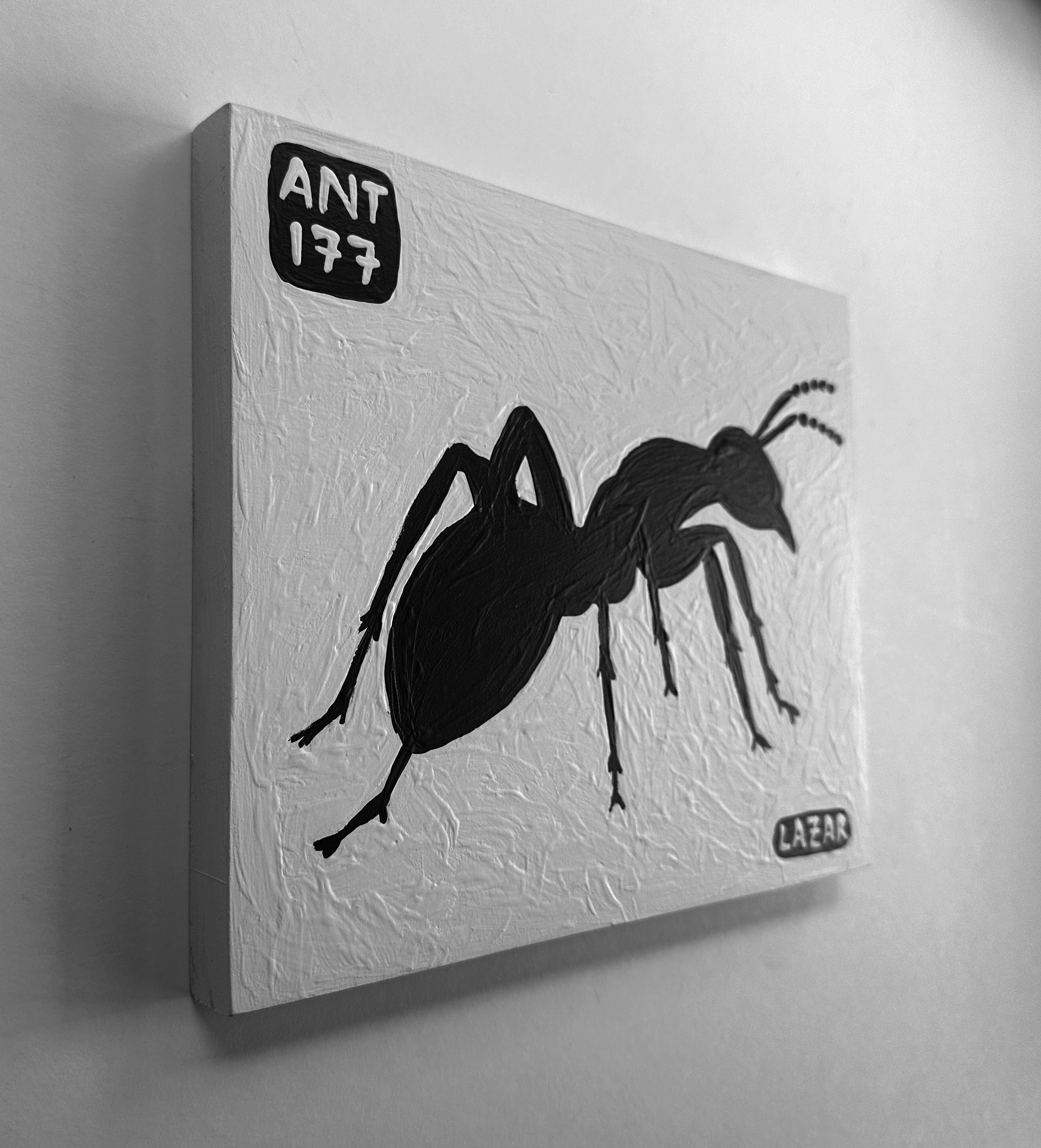 Ant #177