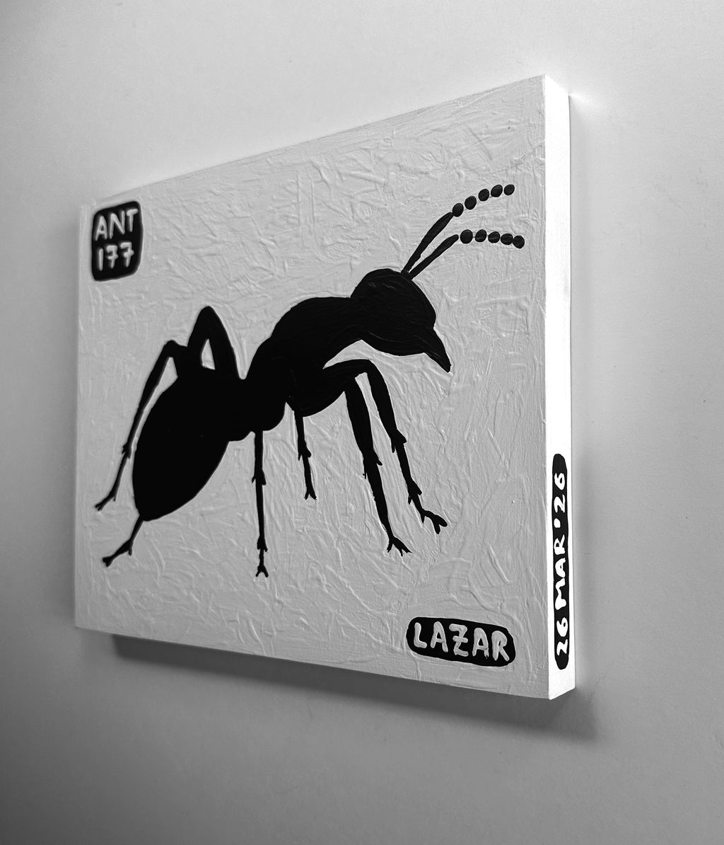 Ant #177