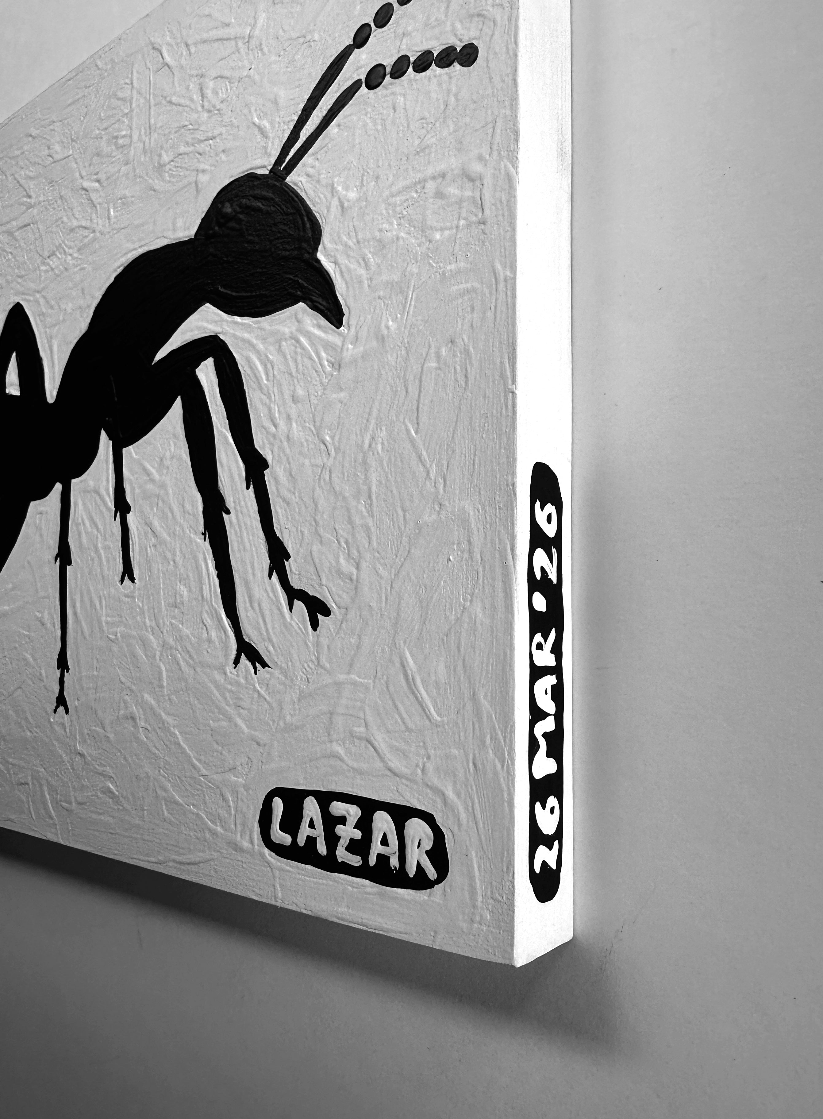 Ant #177