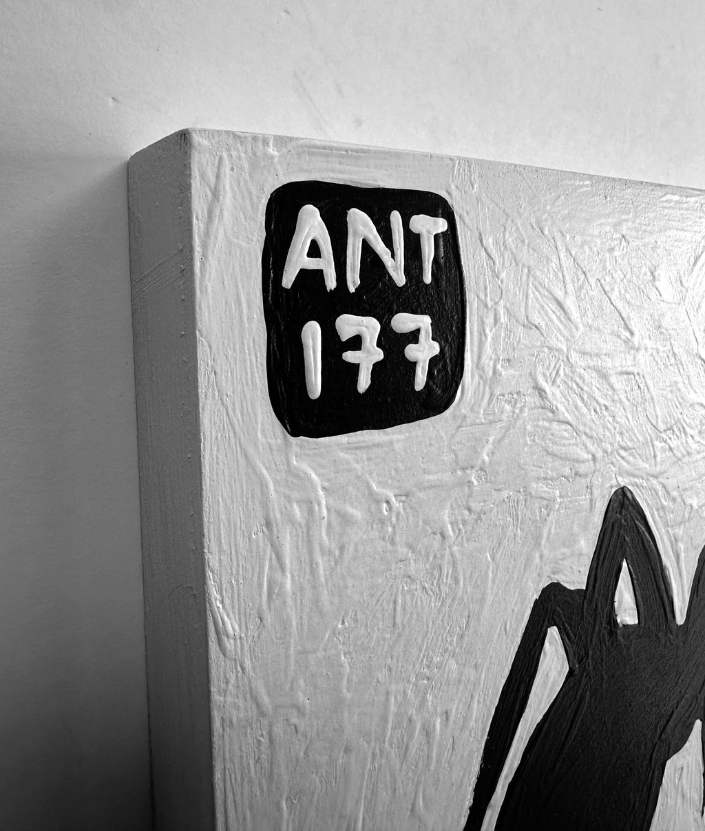 Ant #177