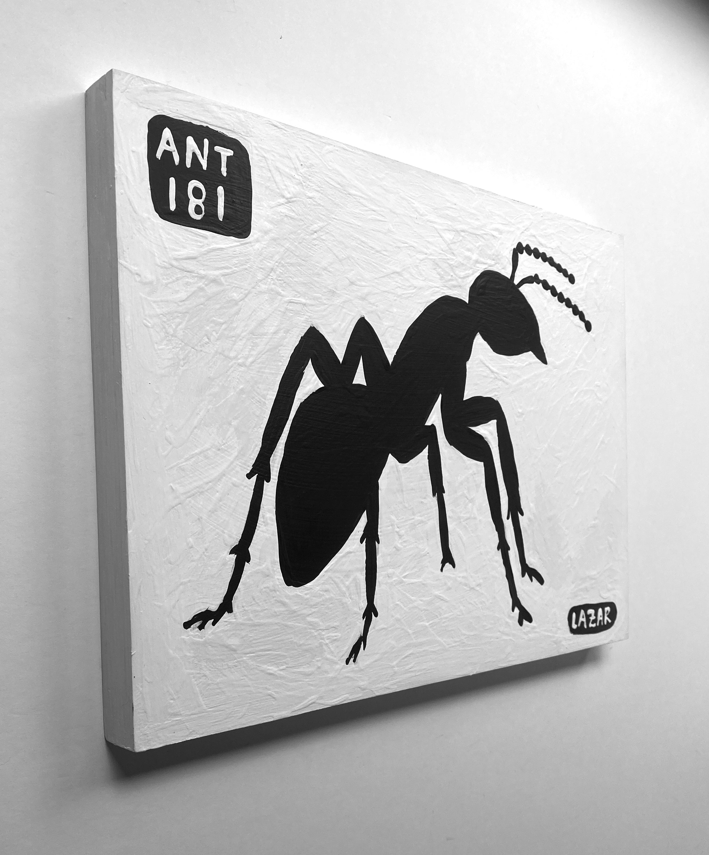 Ant #181
