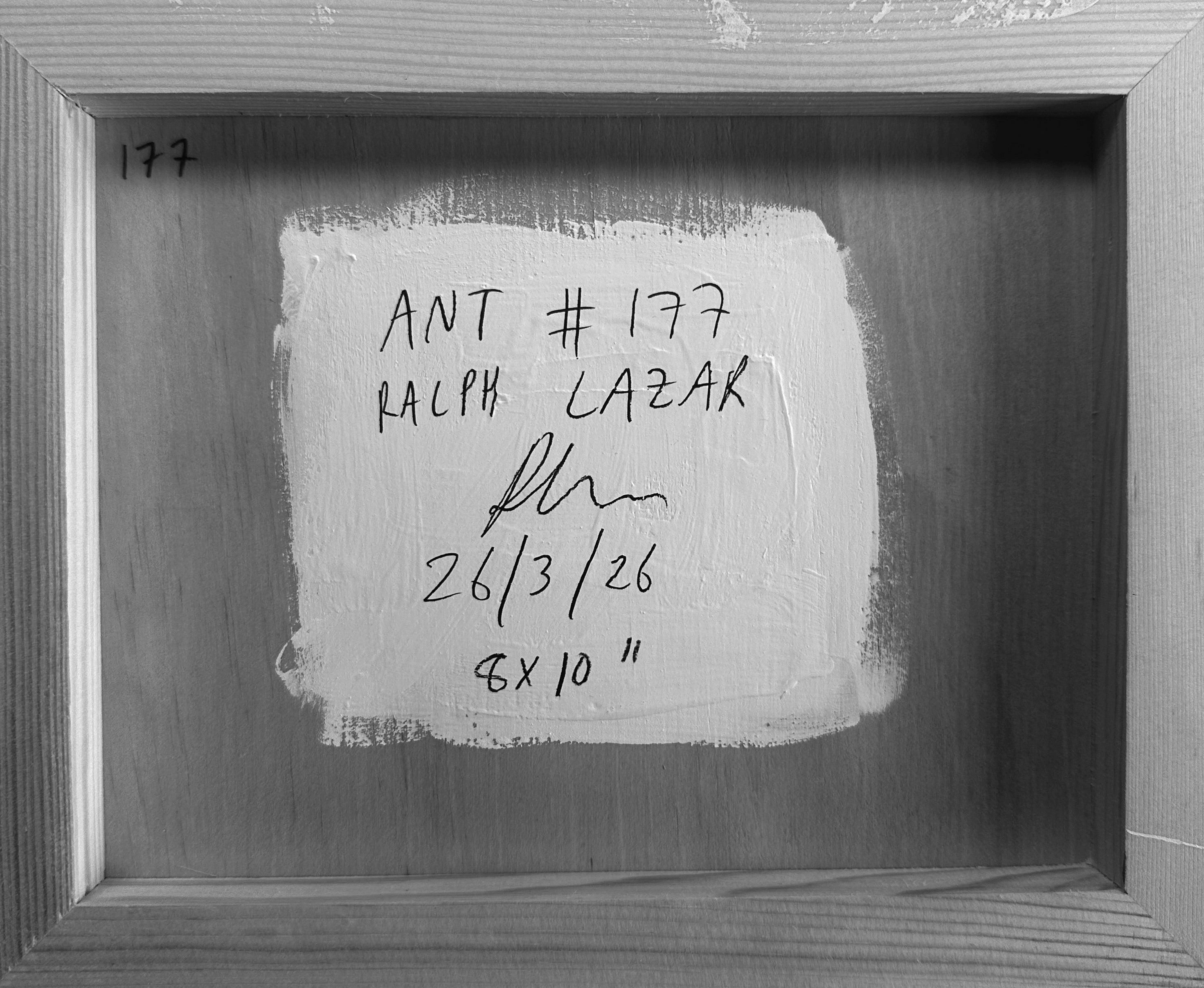 Ant #177