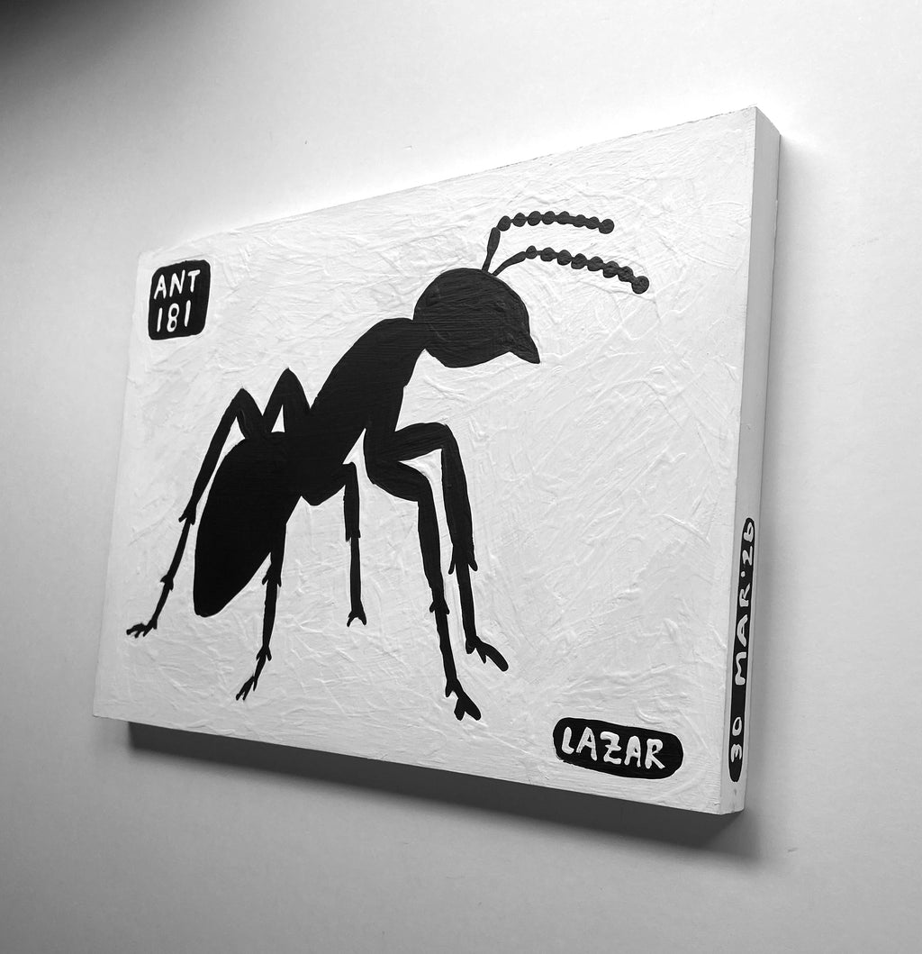 Ant #181
