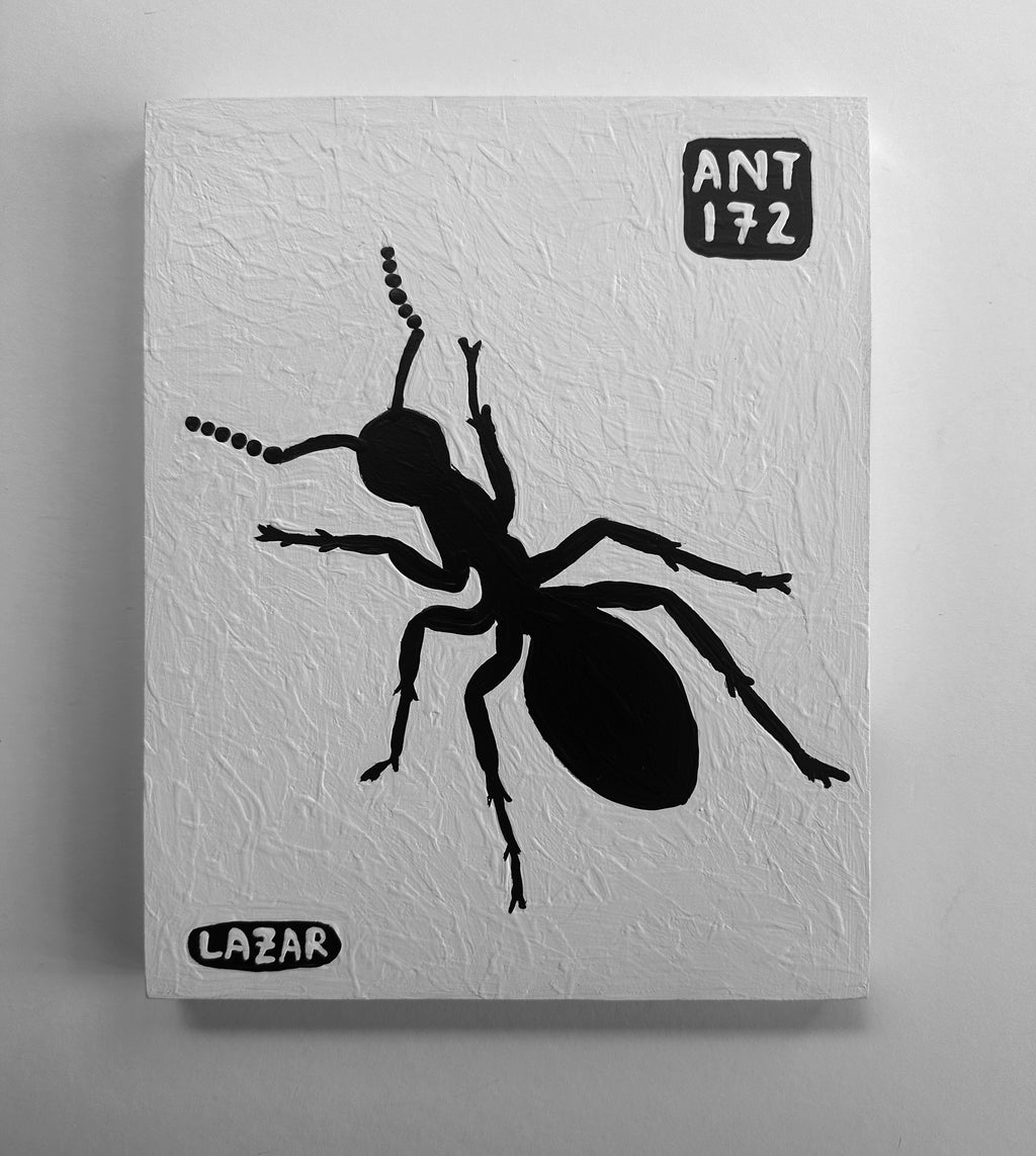 Ant #172