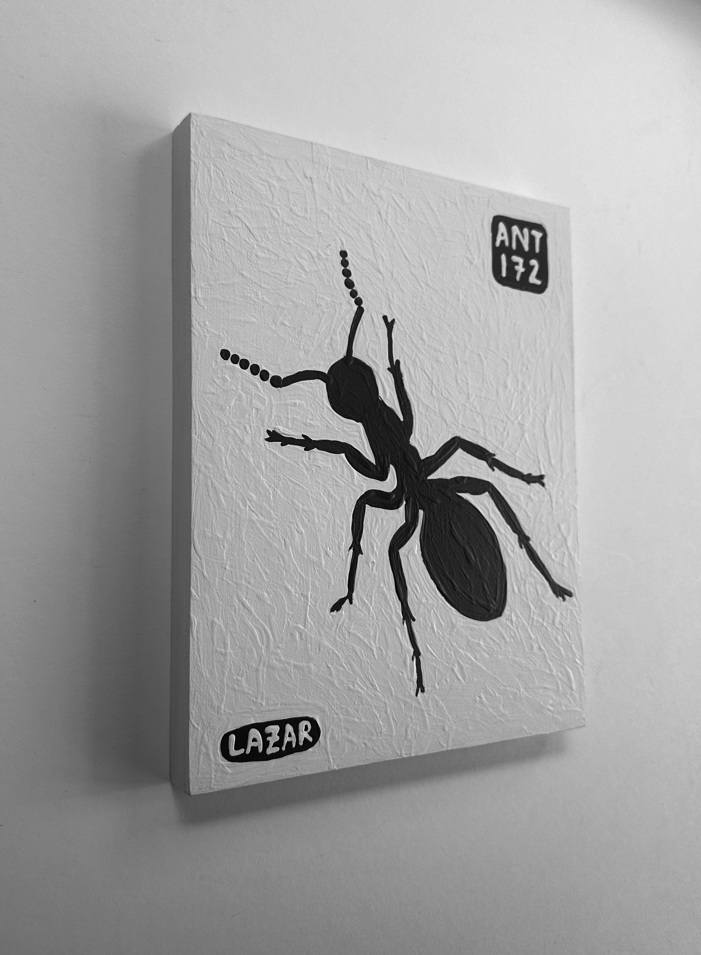 Ant #172