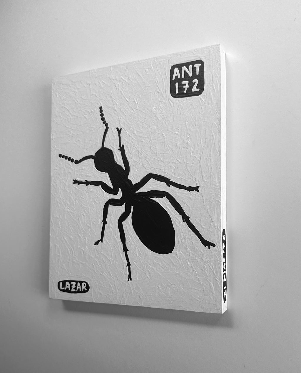 Ant #172
