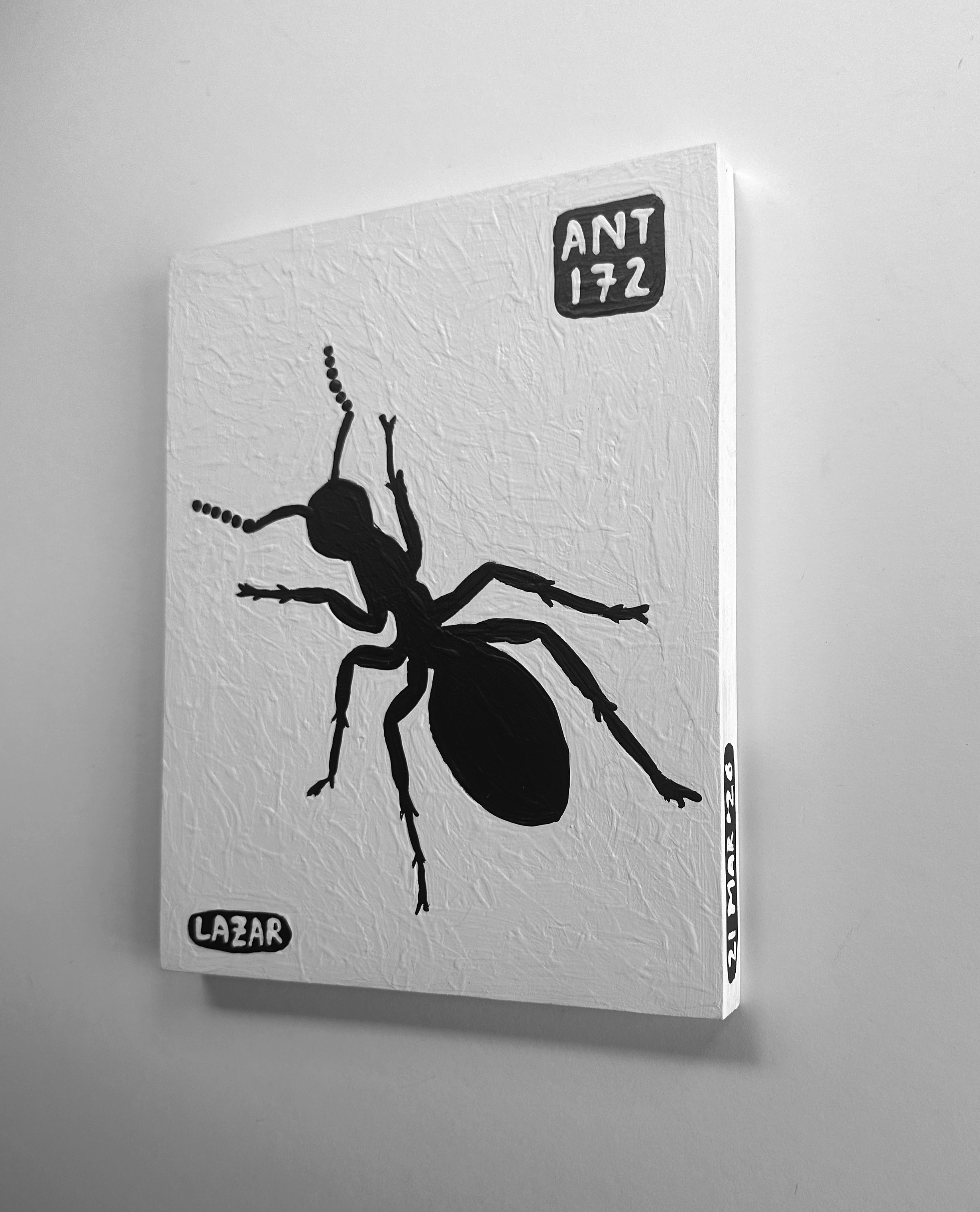 Ant #172