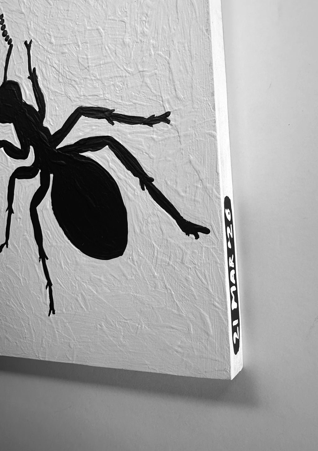 Ant #172