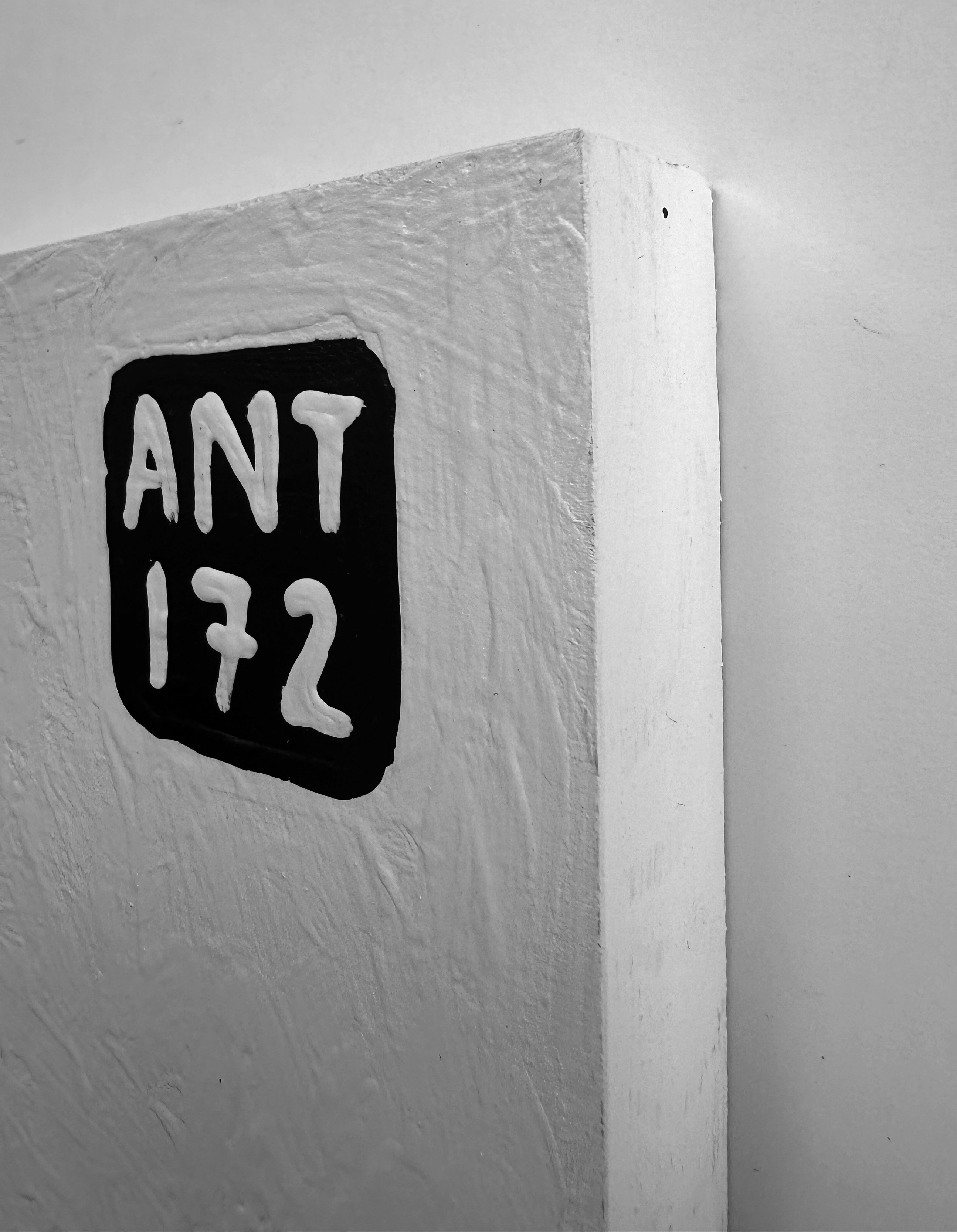 Ant #172
