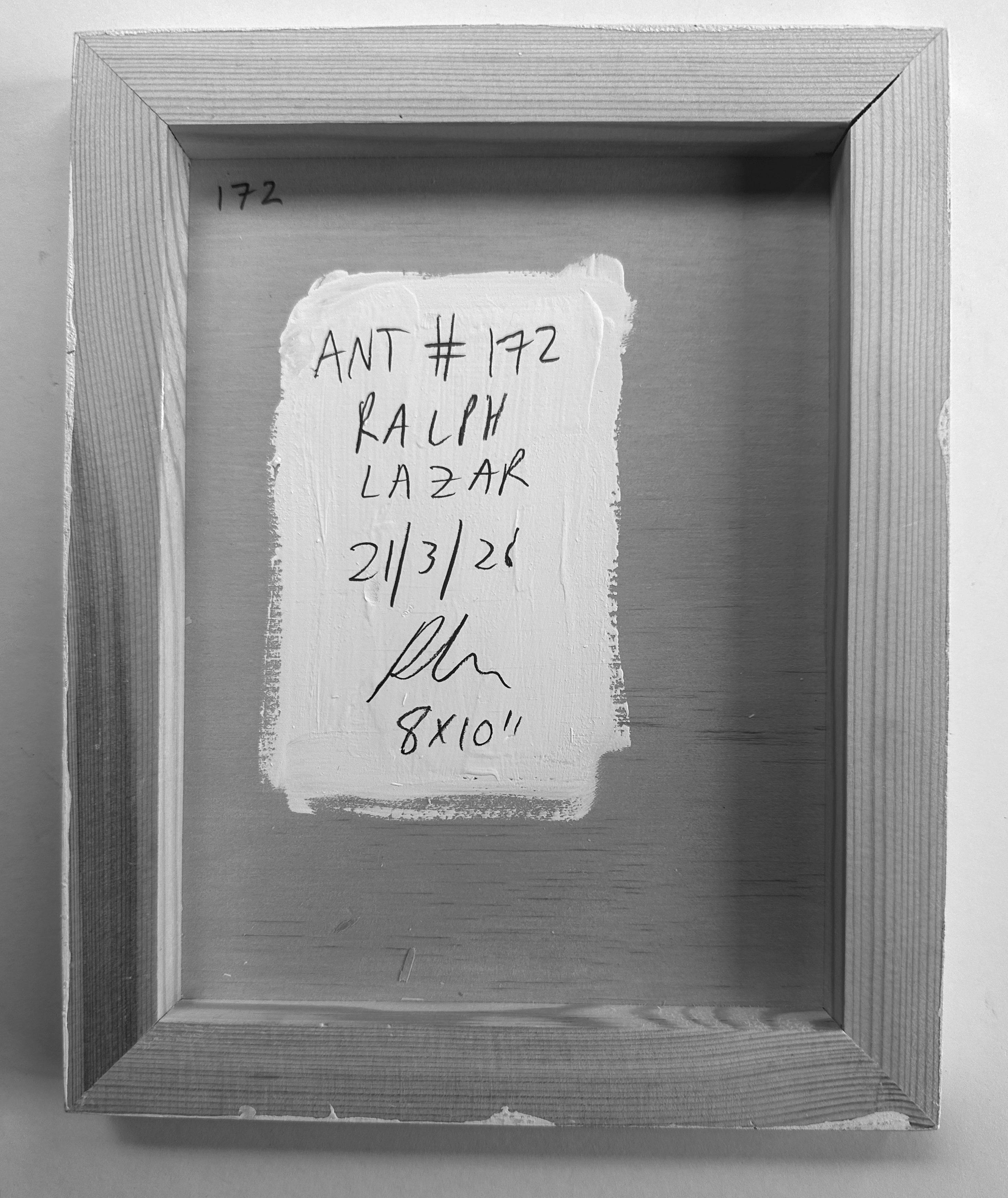 Ant #172