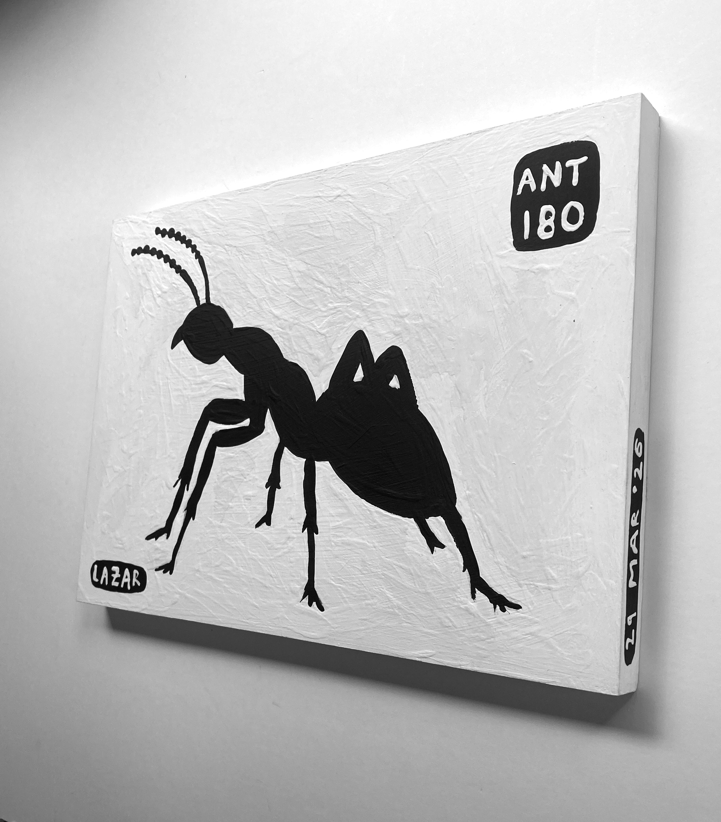 Ant #180