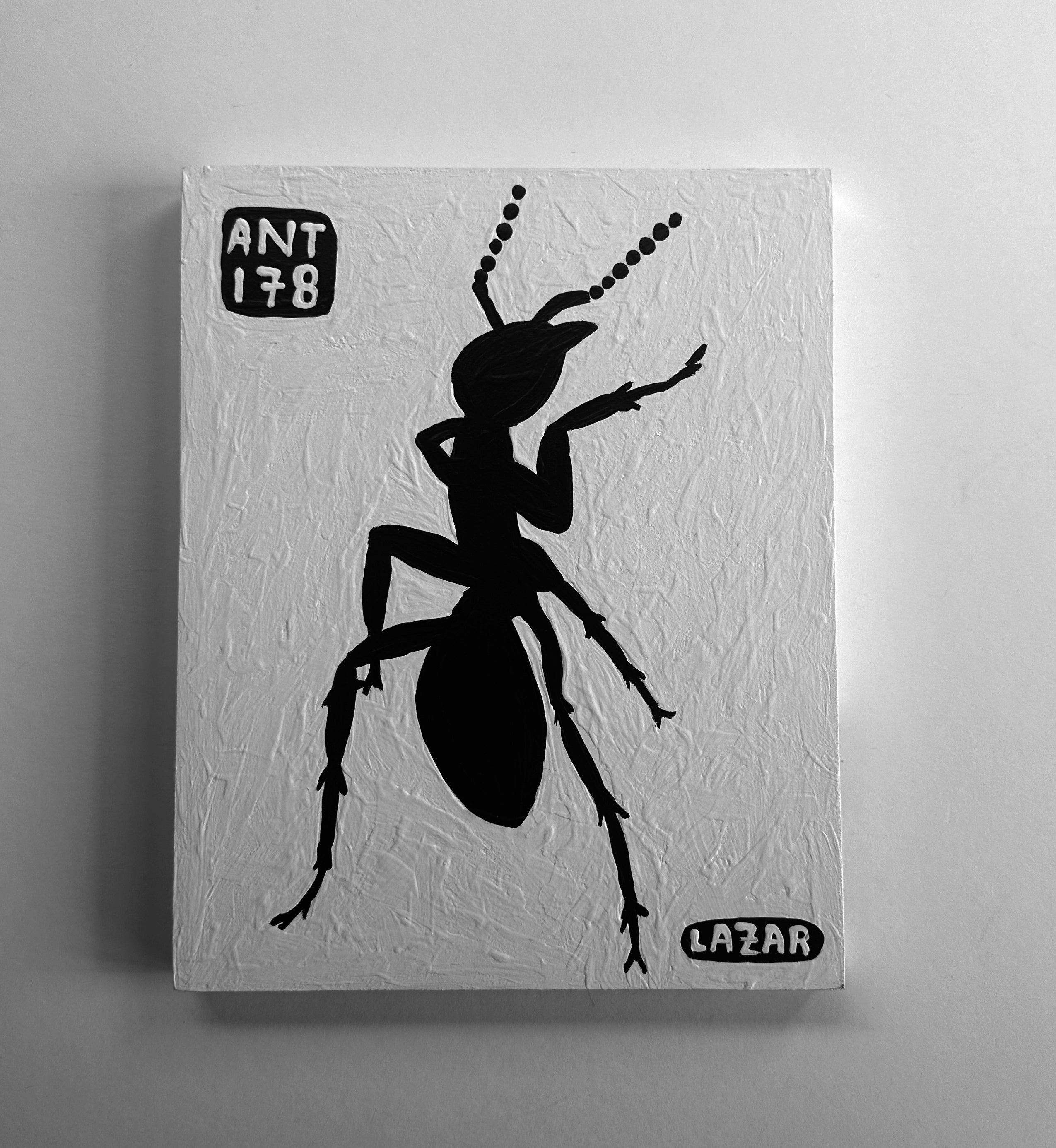 Ant #178