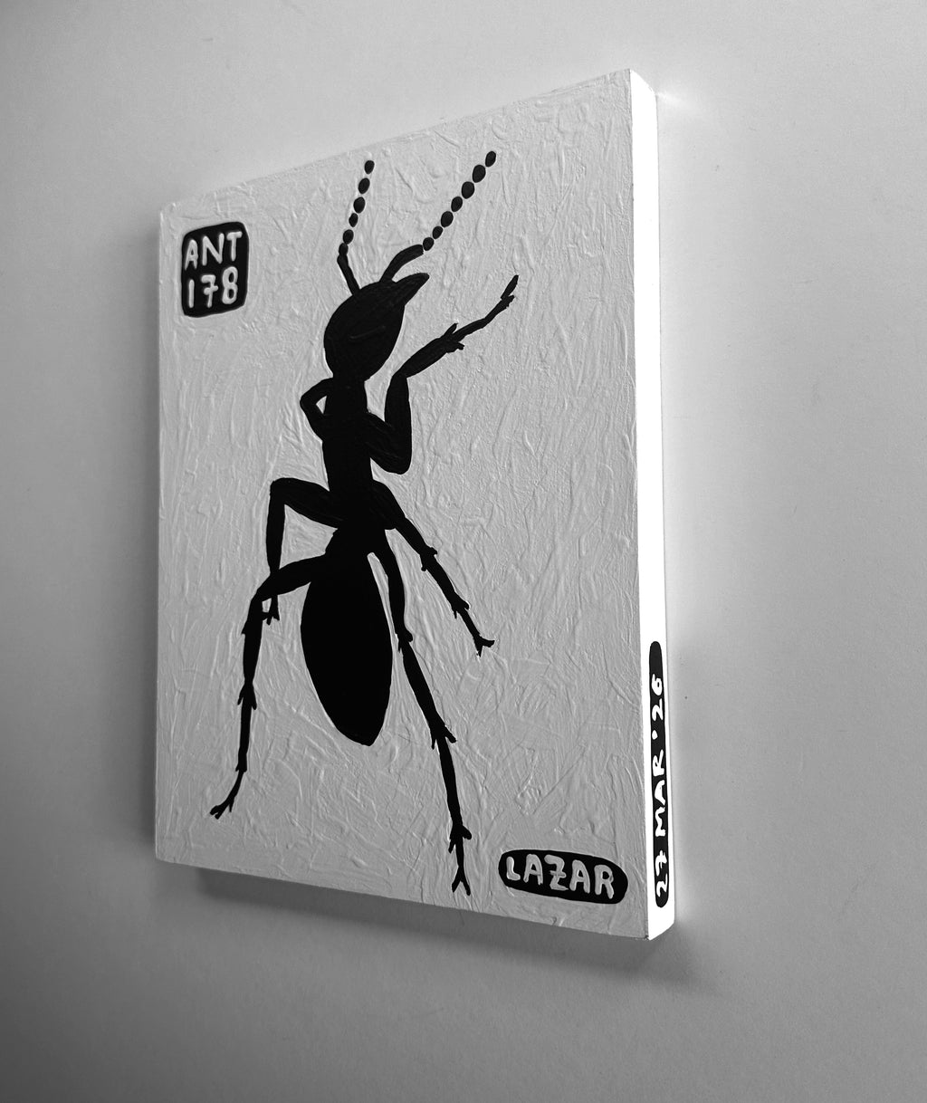 Ant #178