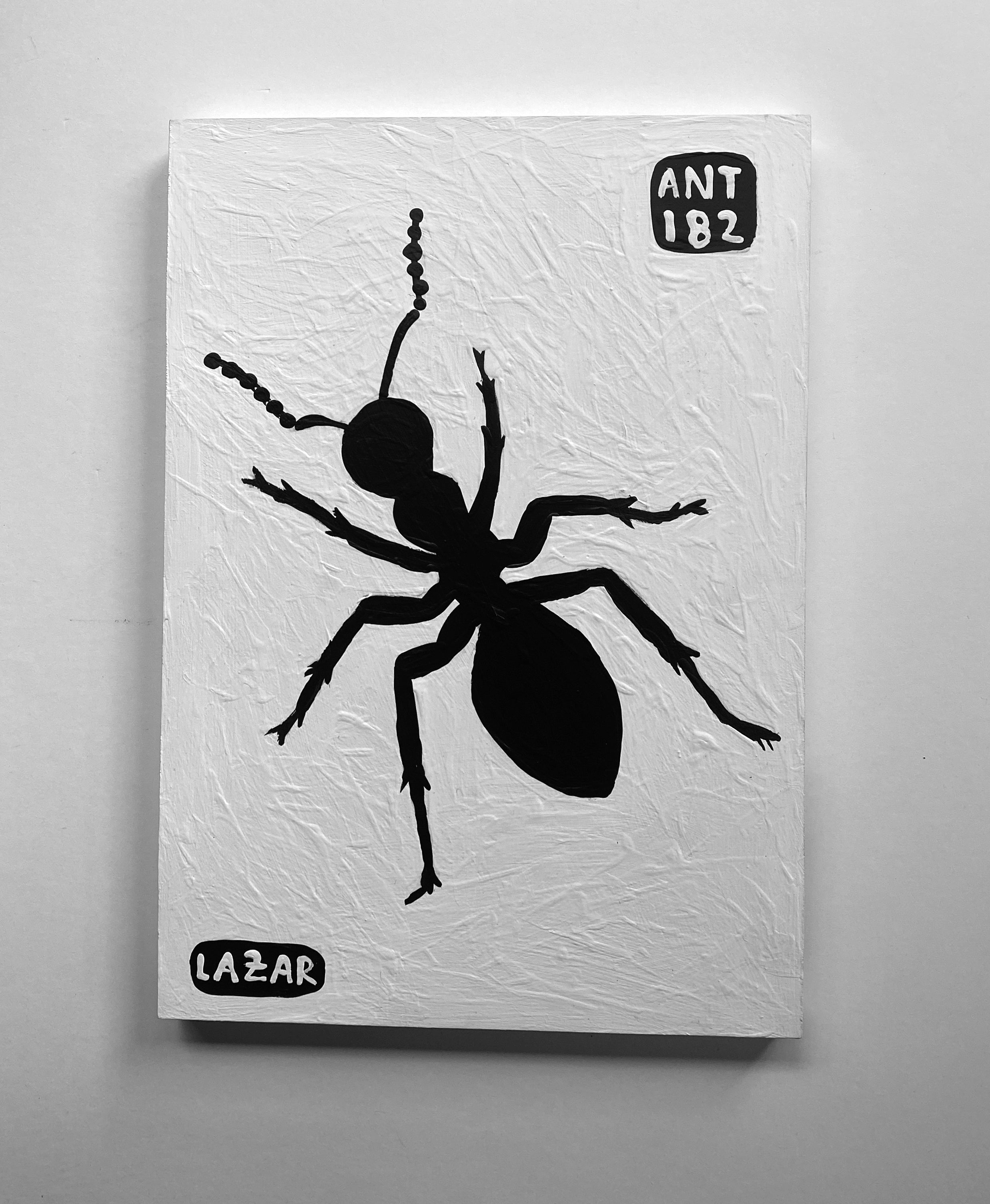 Ant #182