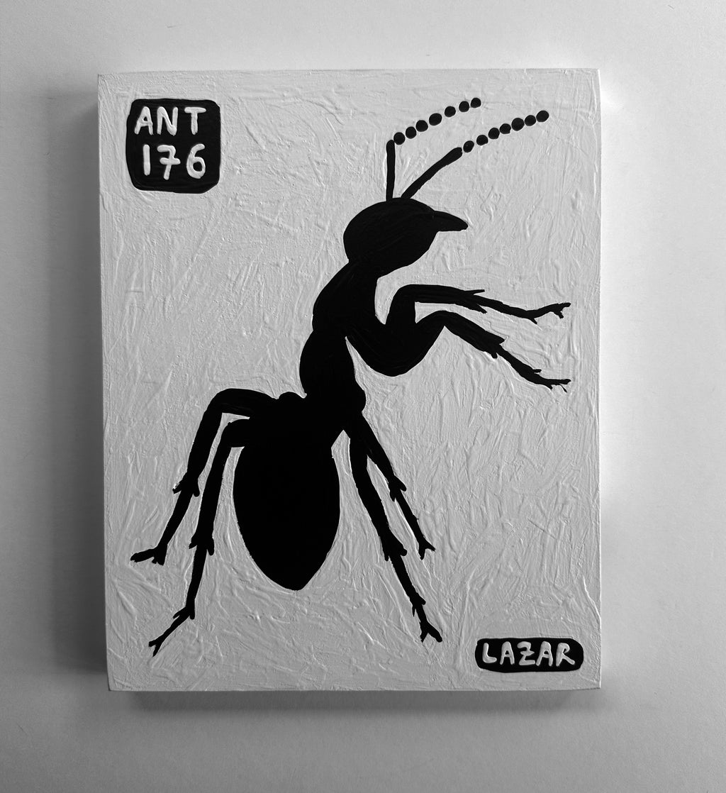 Ant #176