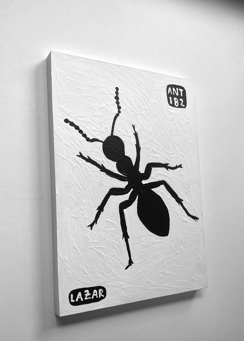 Ant #182
