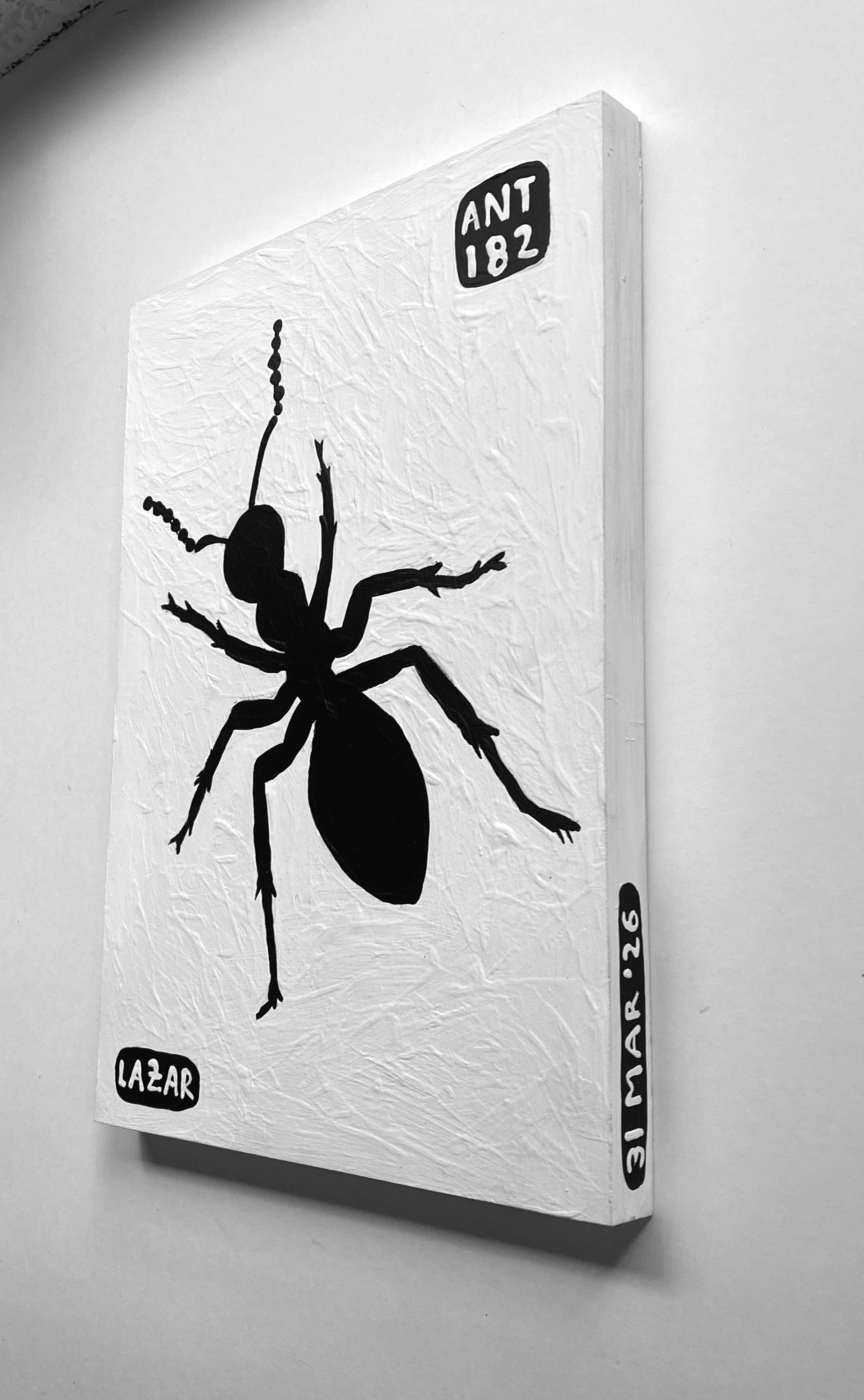 Ant #182