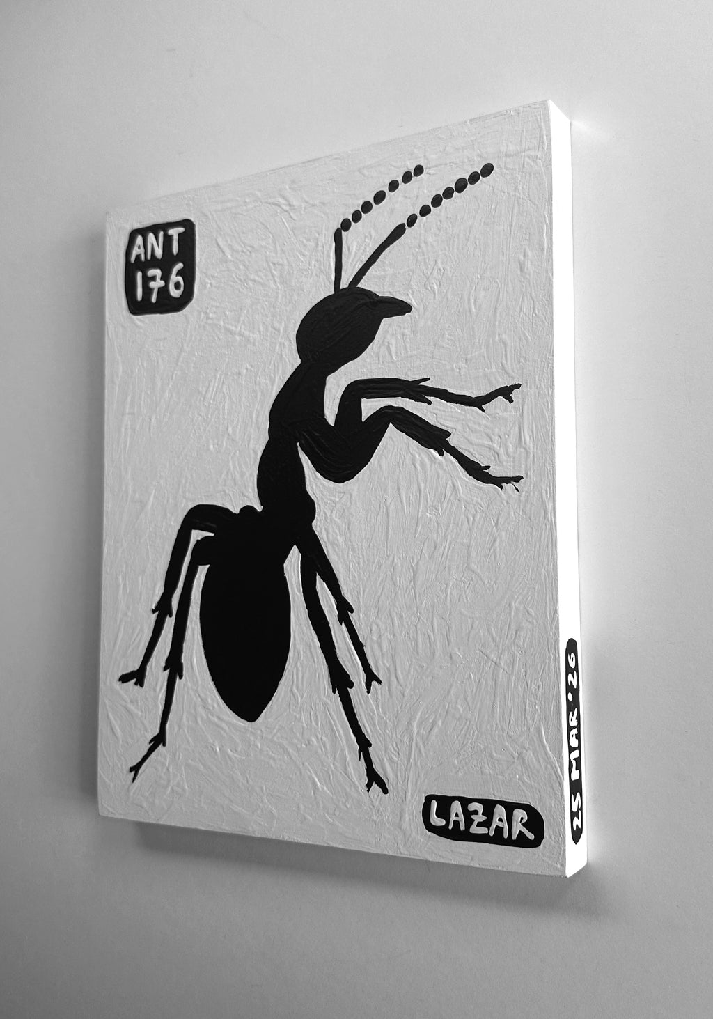 Ant #176