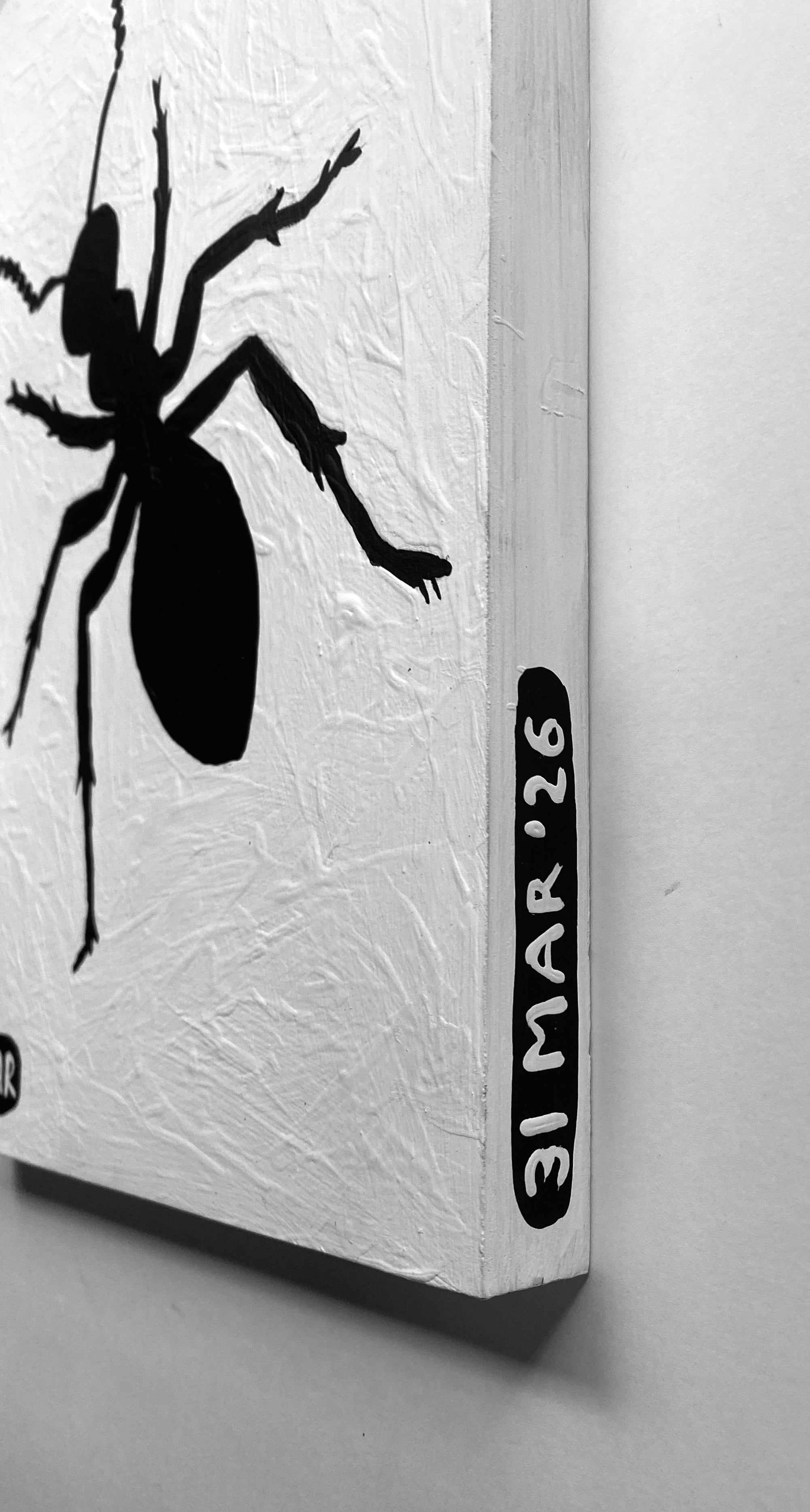 Ant #182