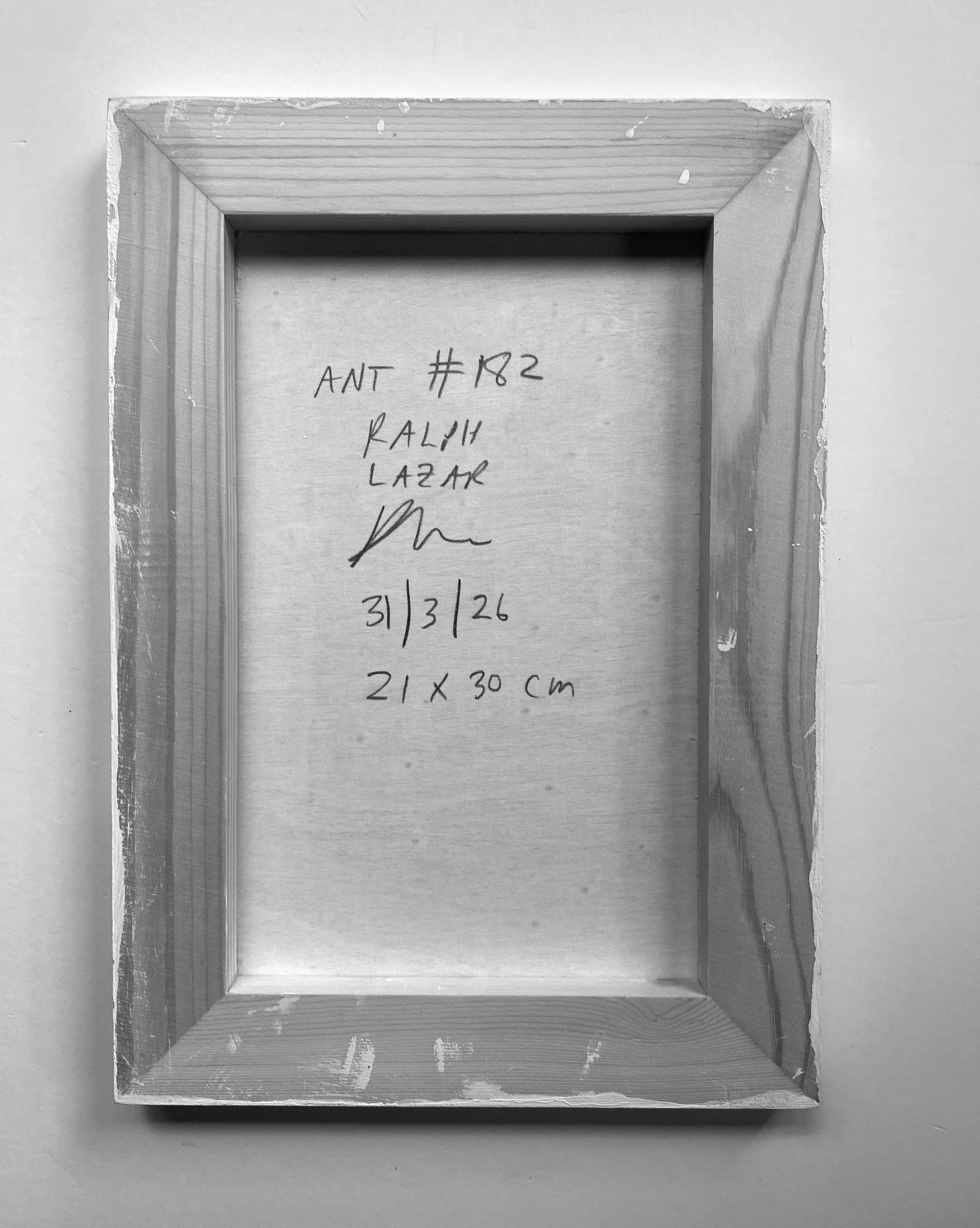 Ant #182