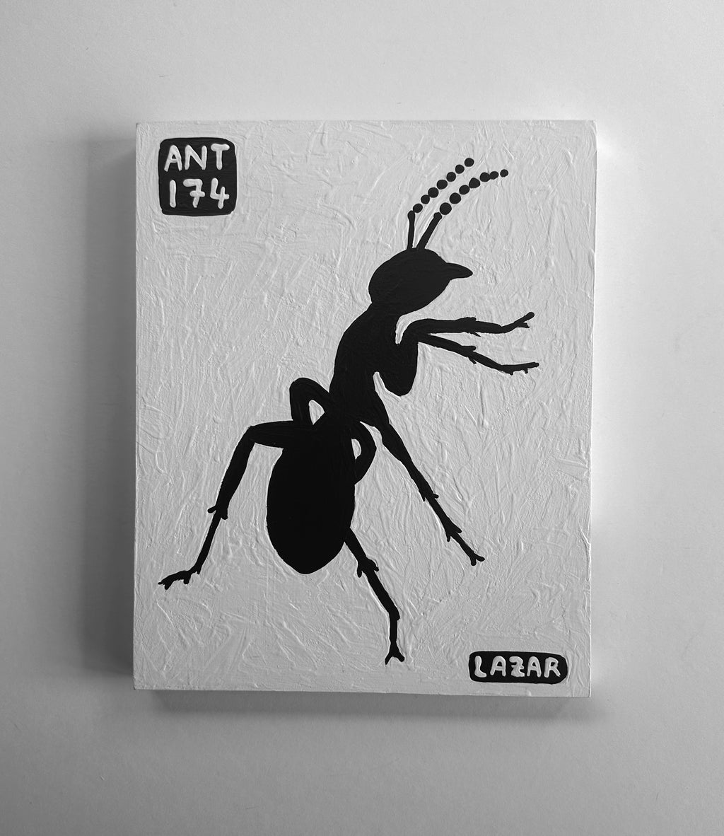 Ant #174