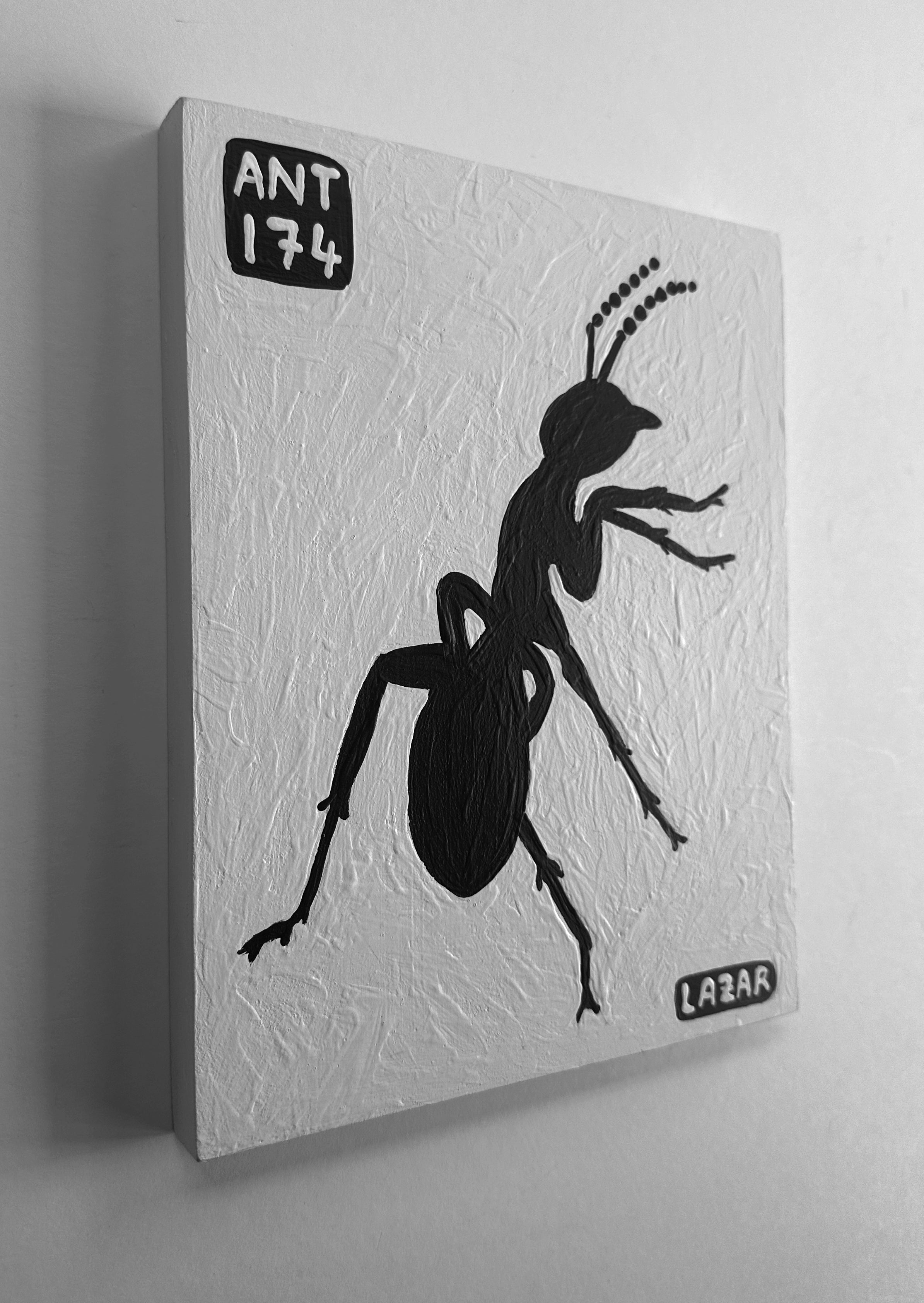 Ant #174