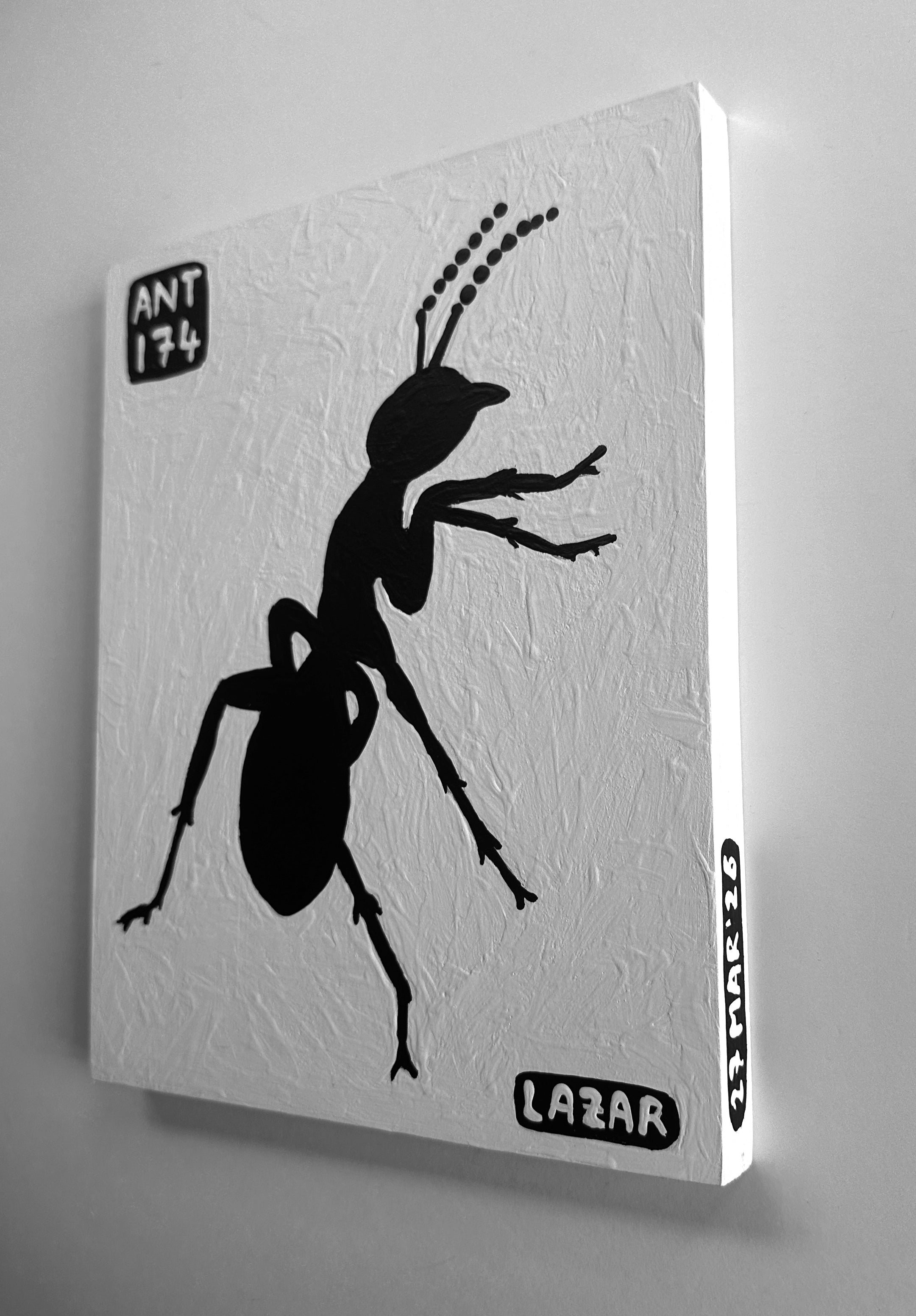 Ant #174