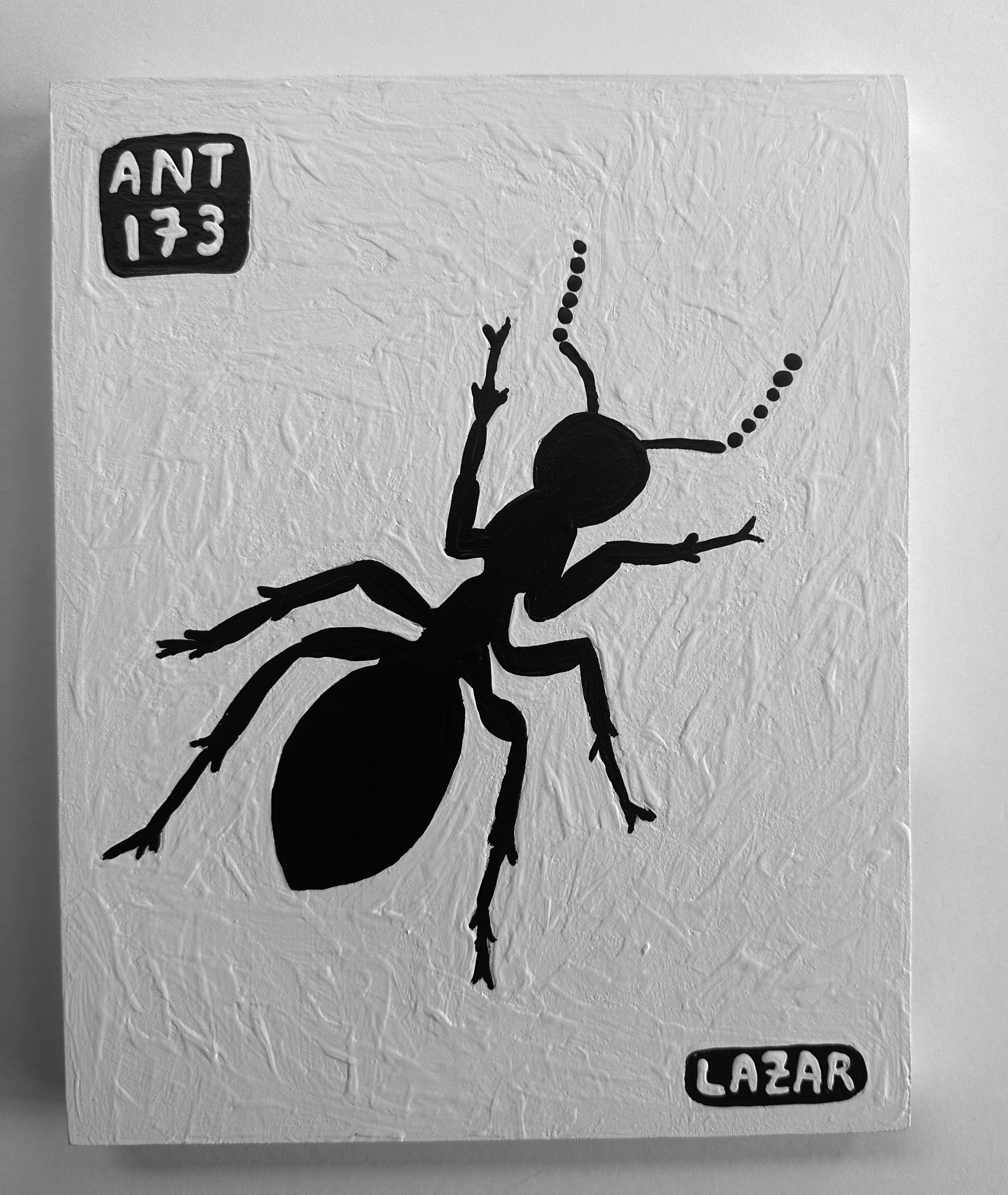 Ant #173