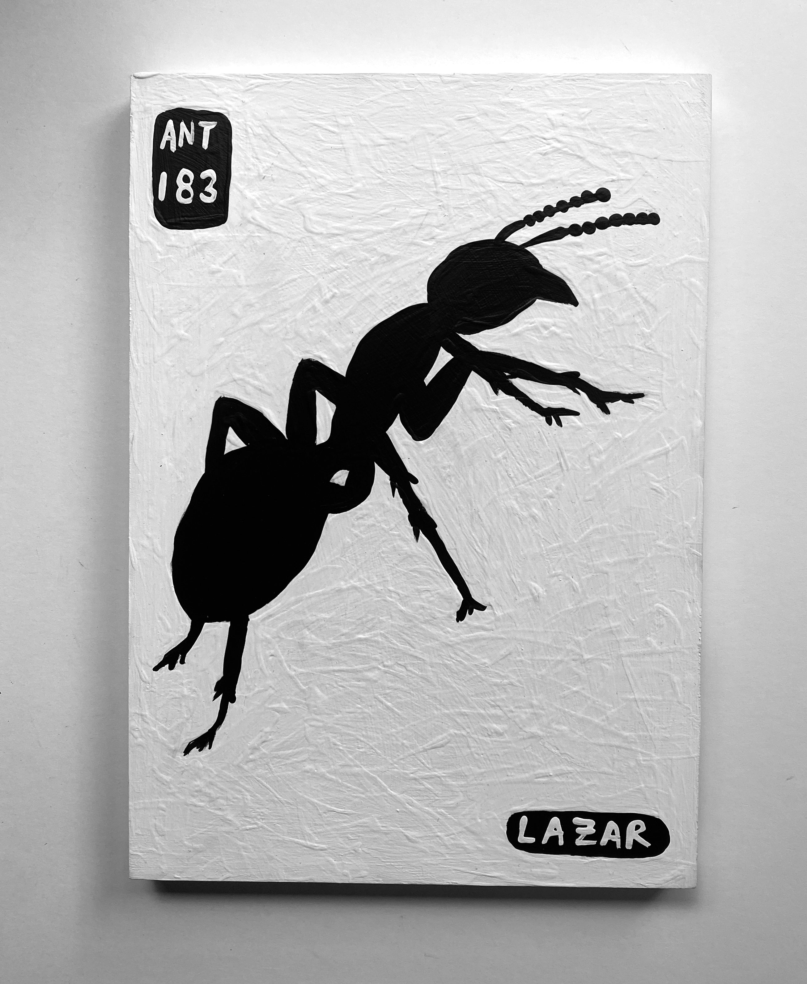Ant #183