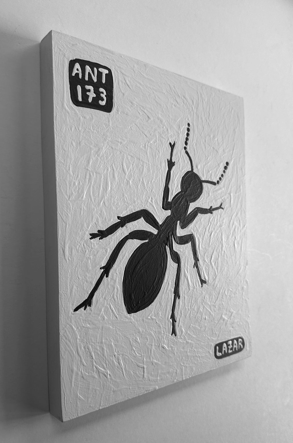 Ant #173