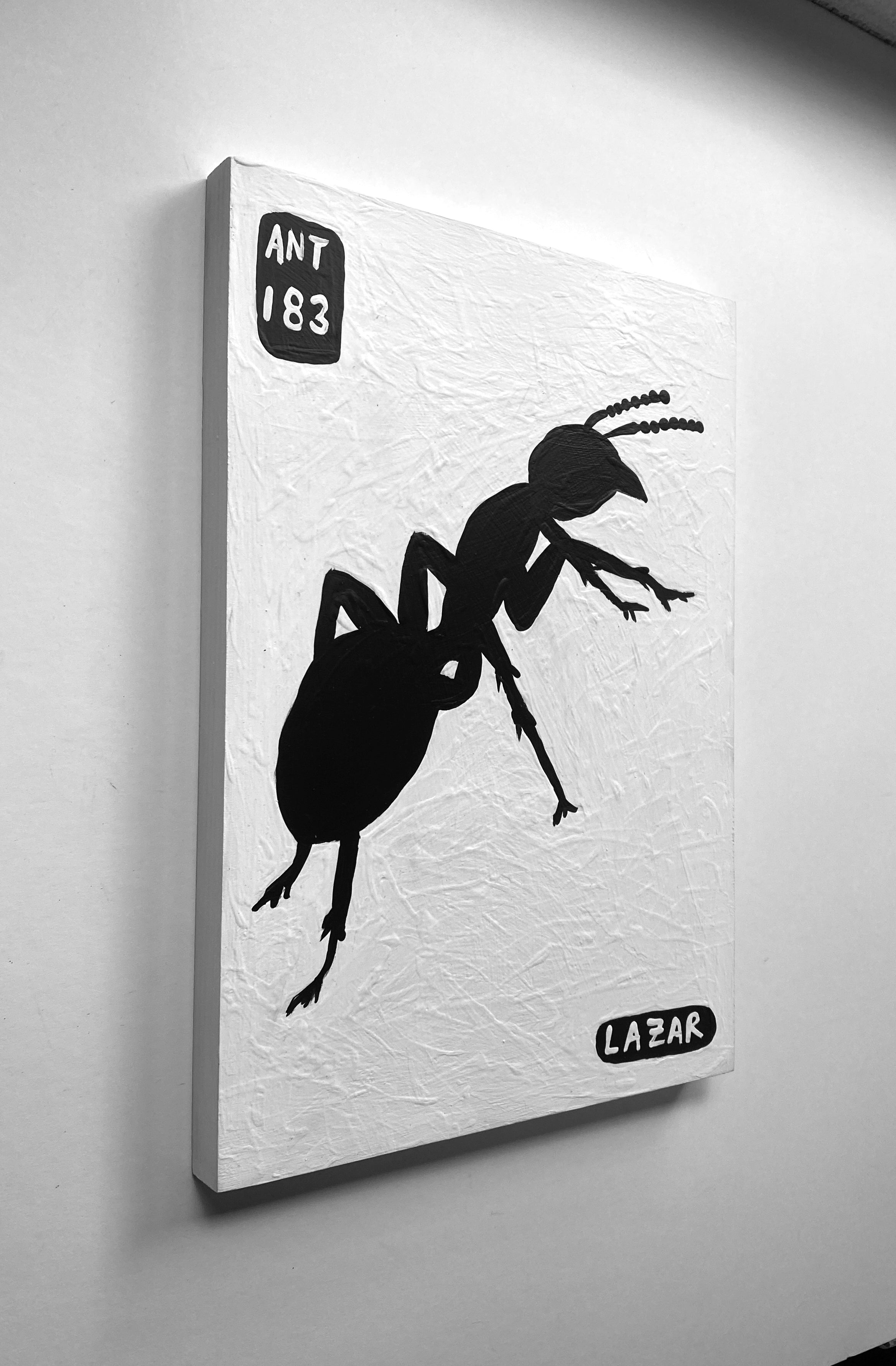 Ant #183
