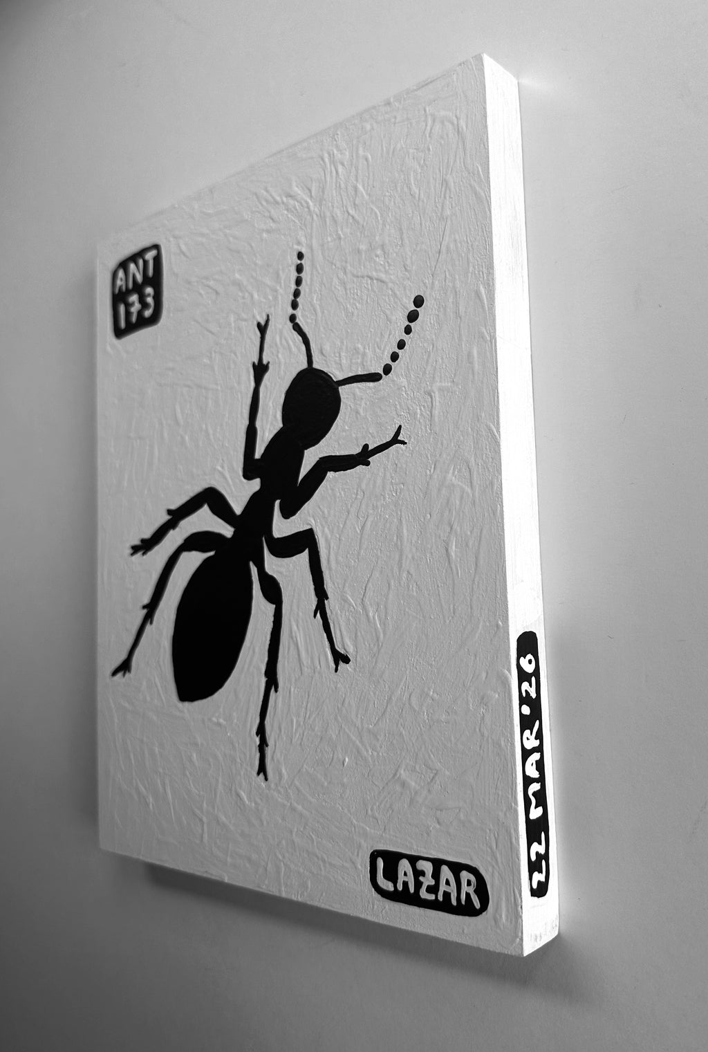 Ant #173