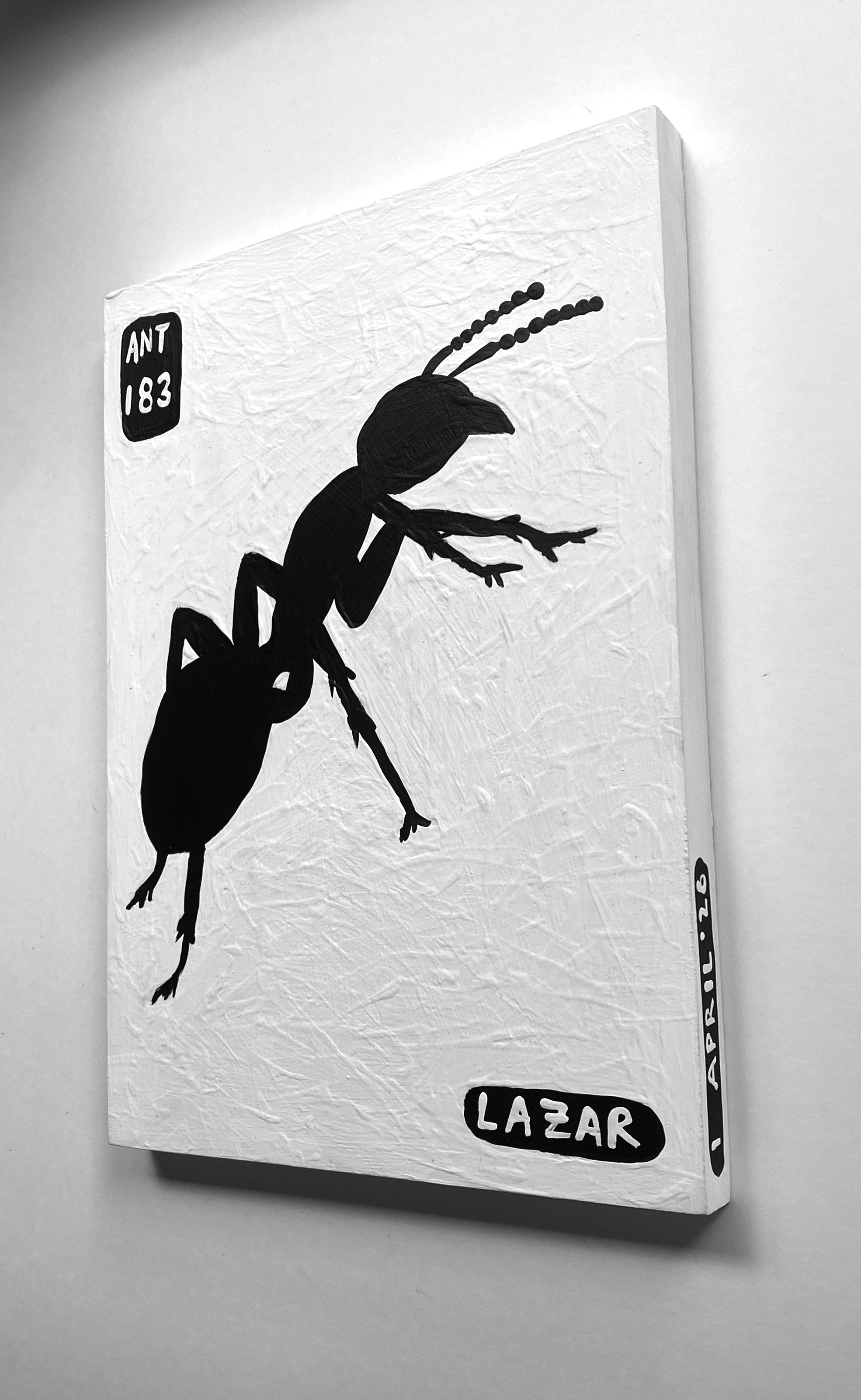 Ant #183