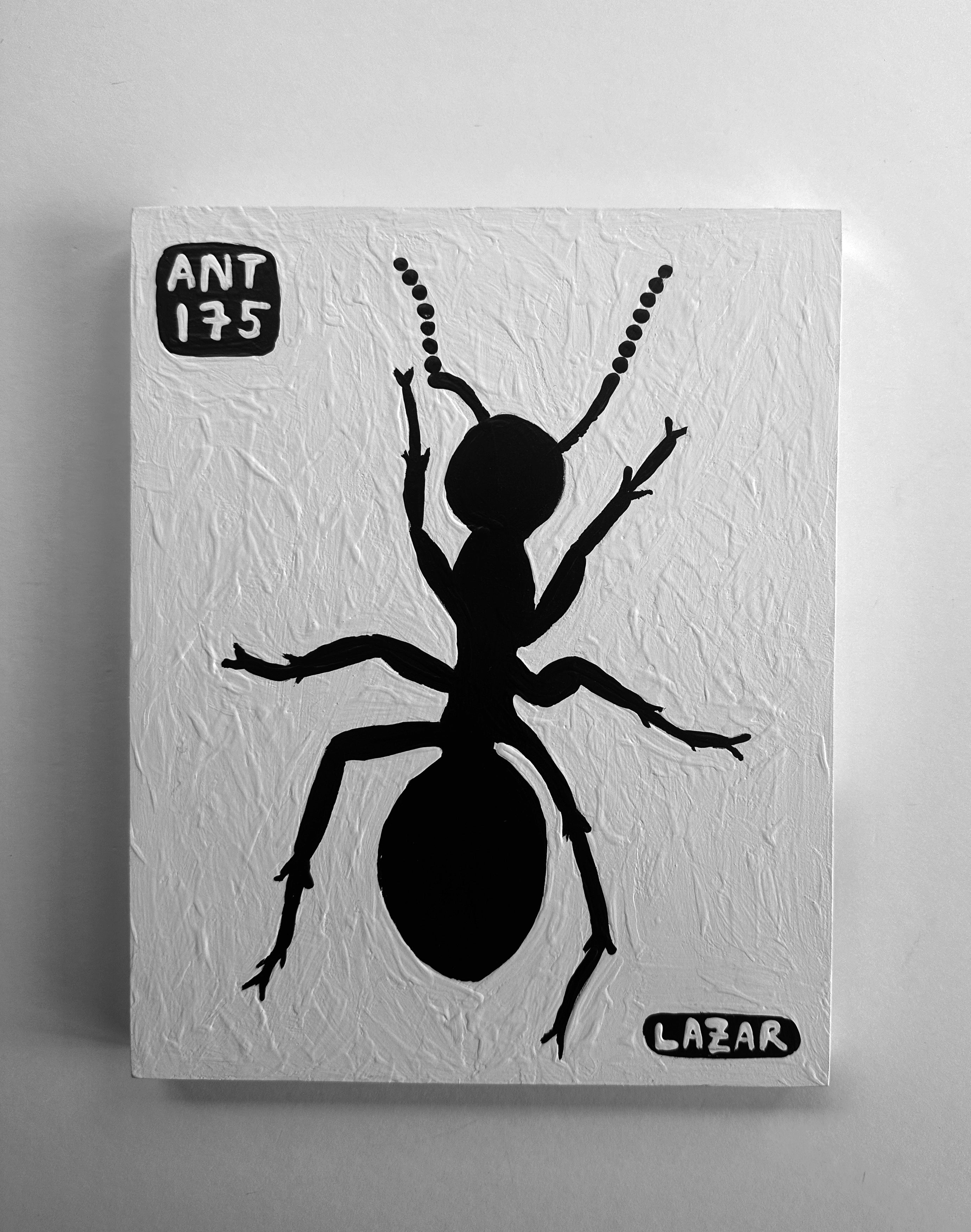 Ant #175