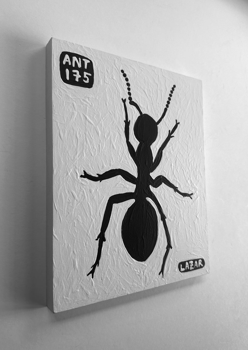Ant #175