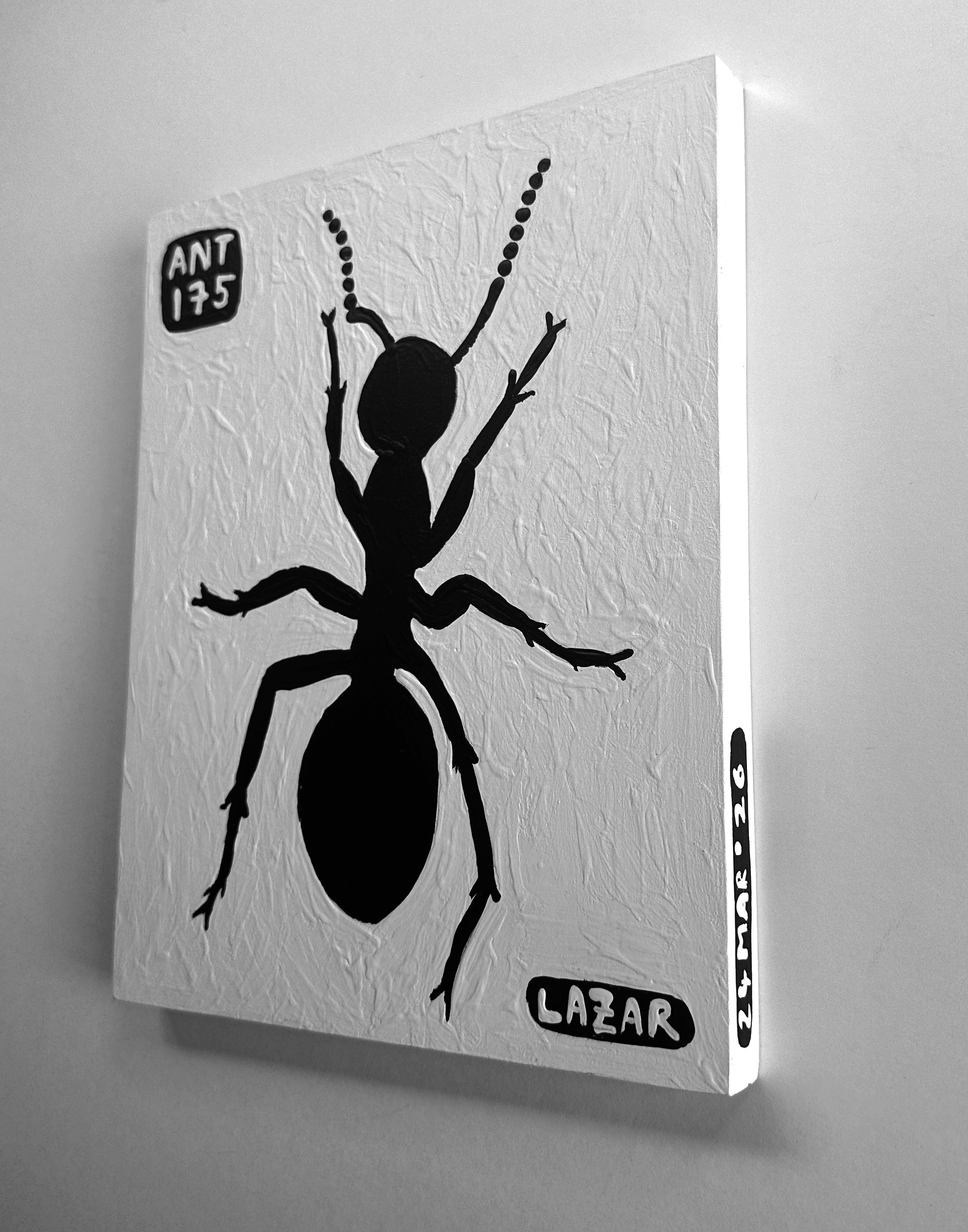 Ant #175