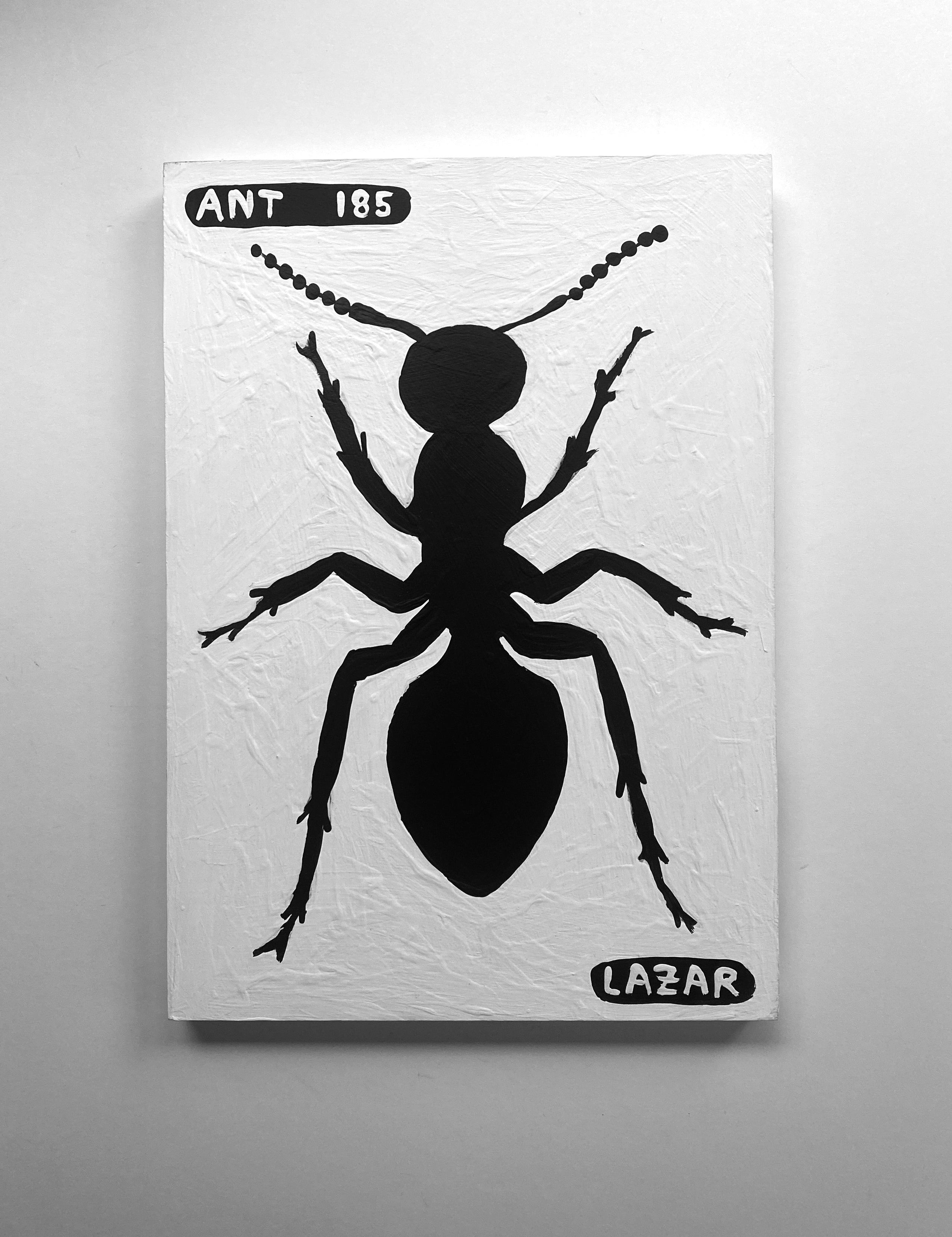 Ant #185