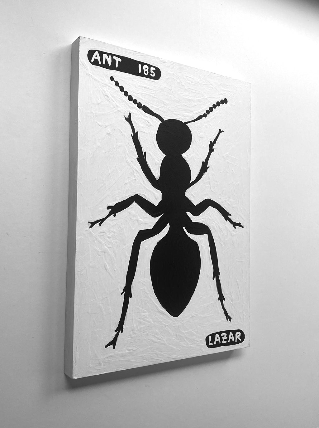 Ant #185