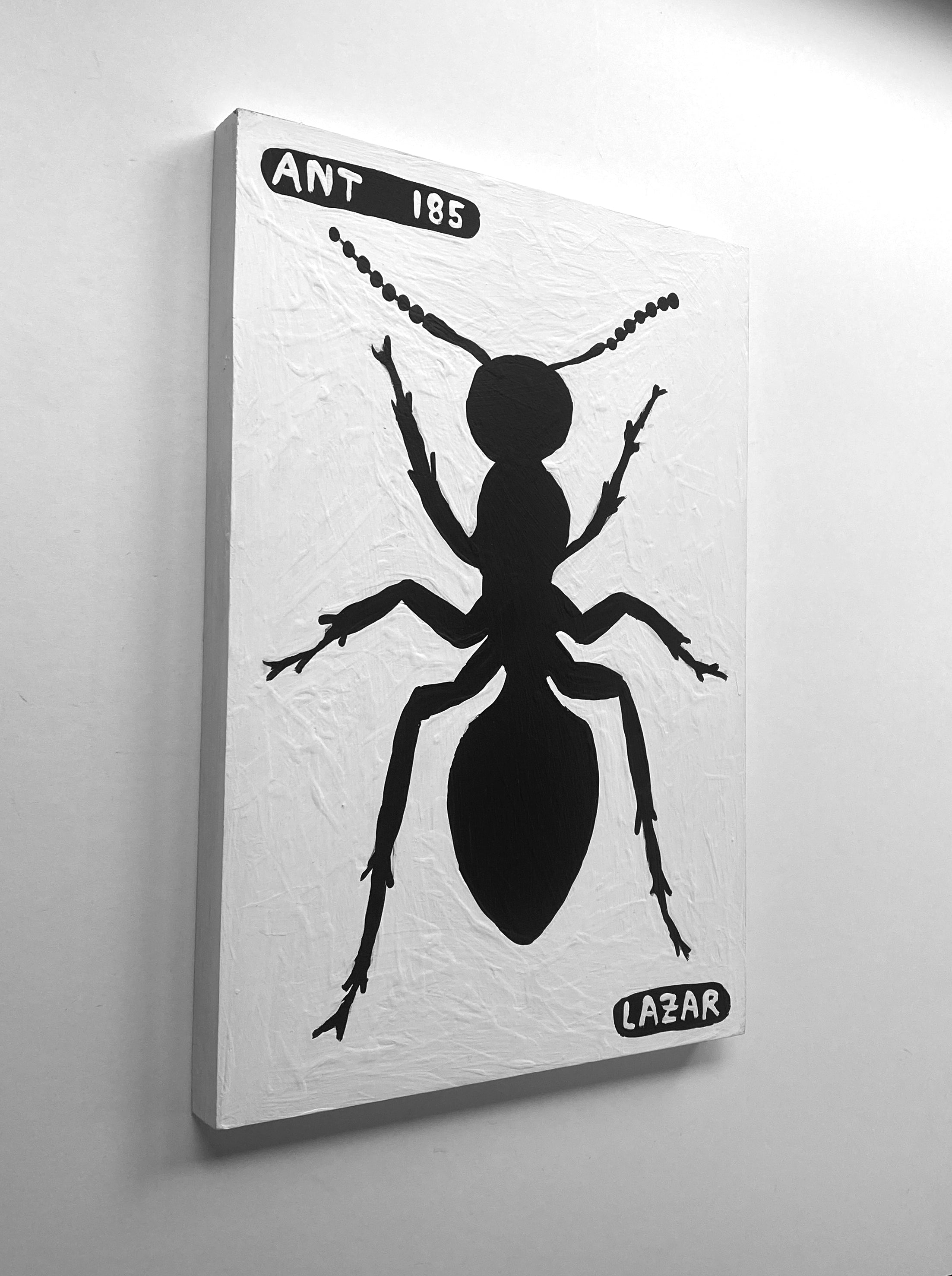 Ant #185