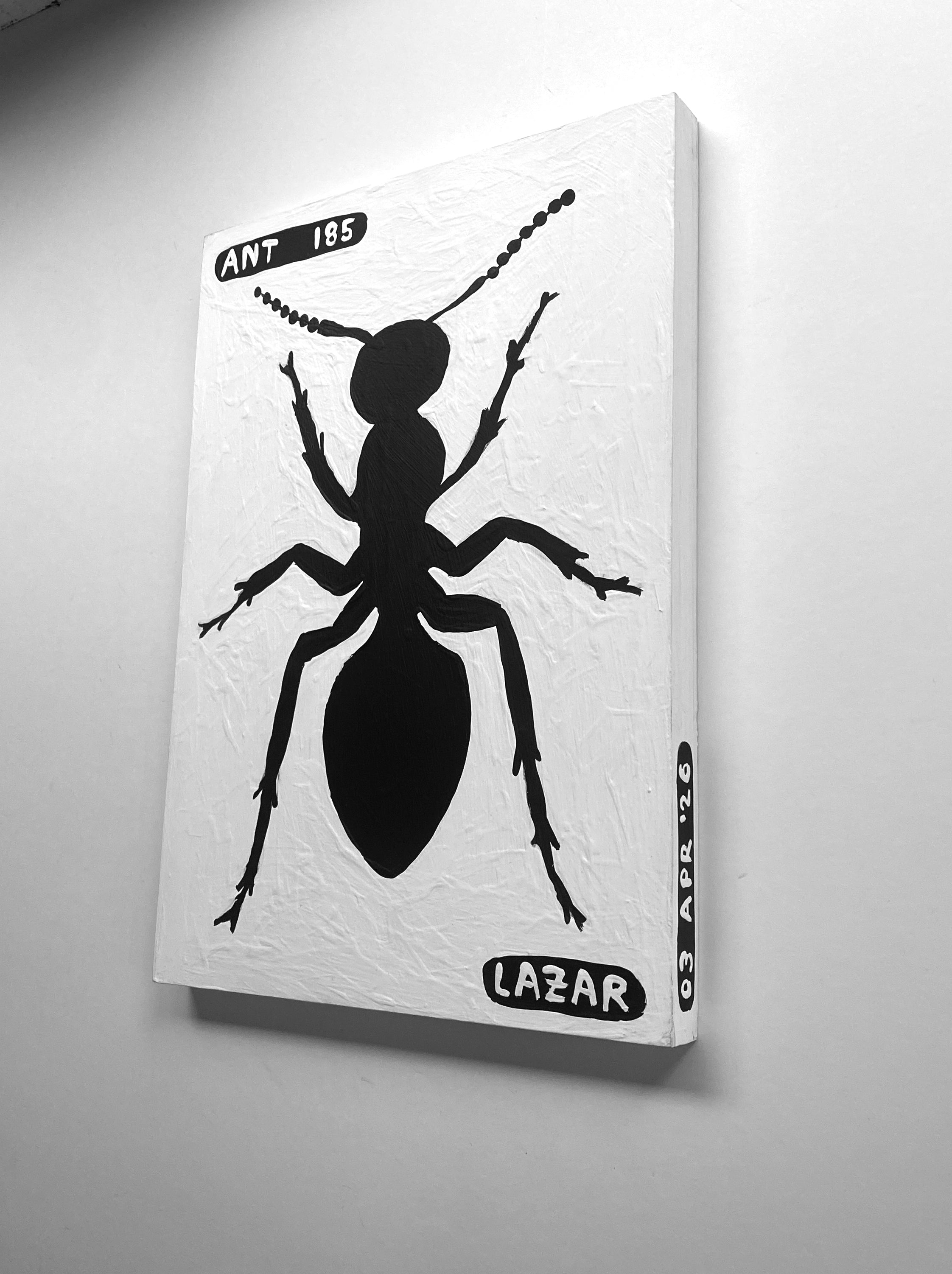 Ant #185