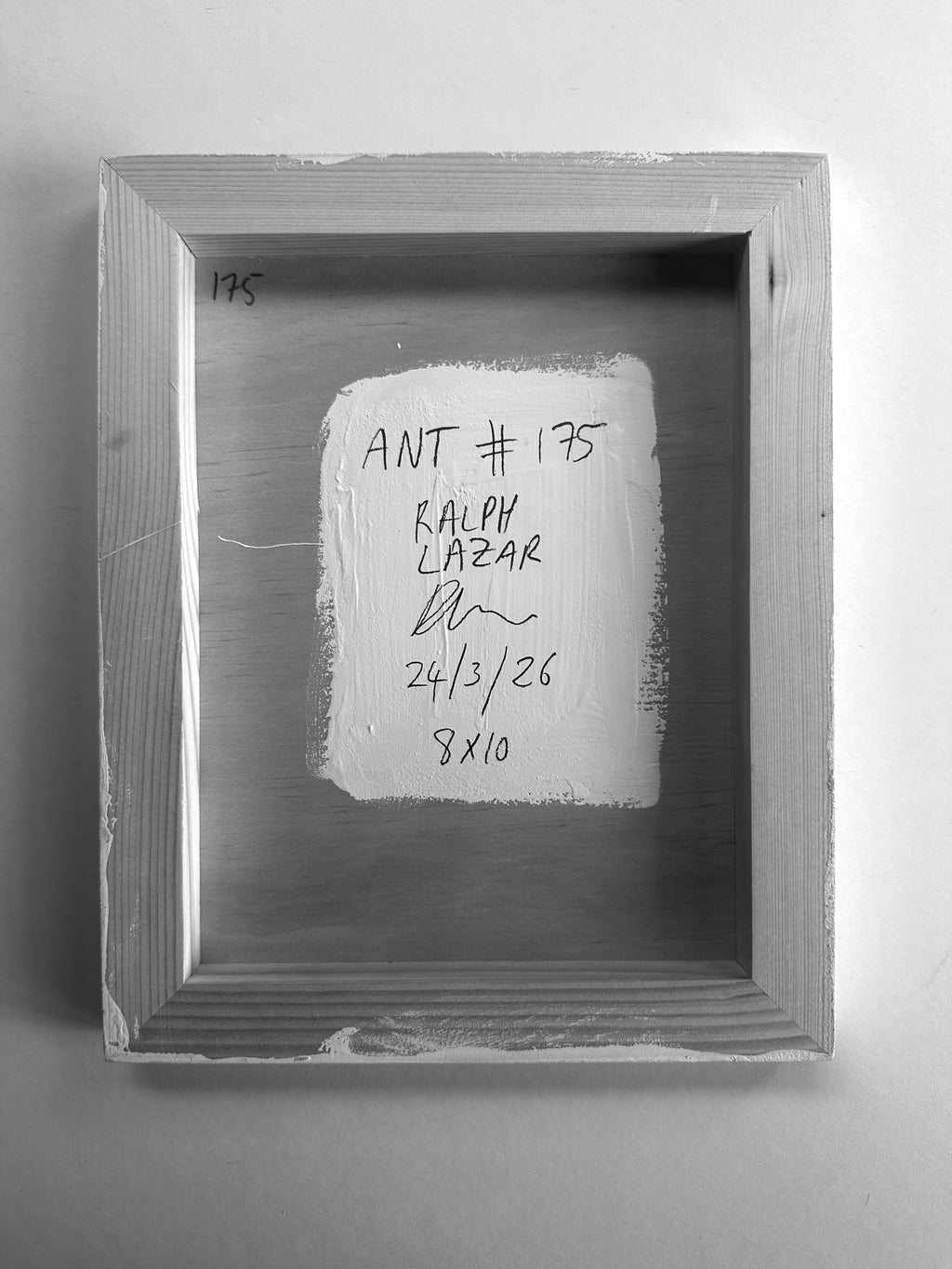 Ant #175