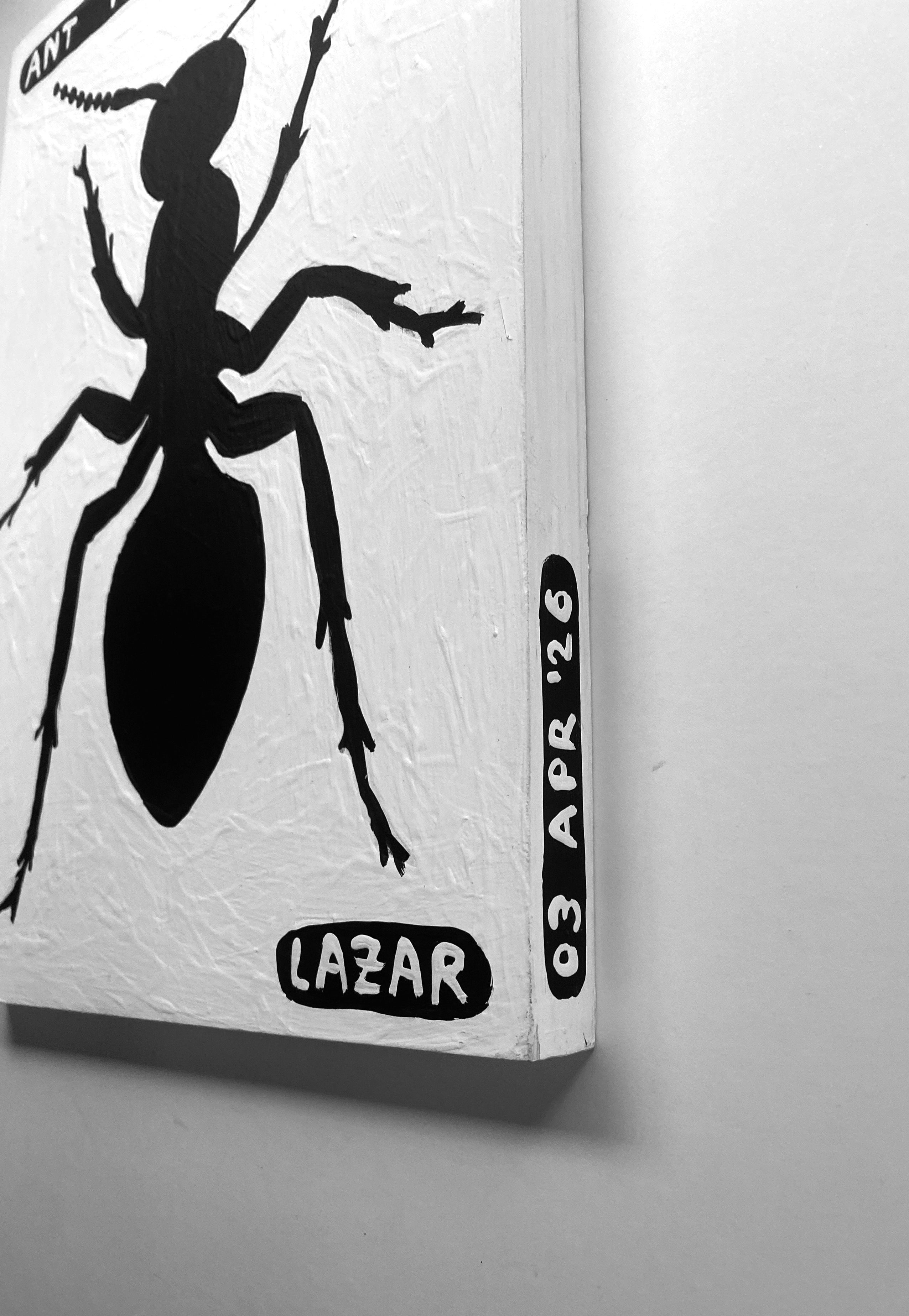 Ant #185