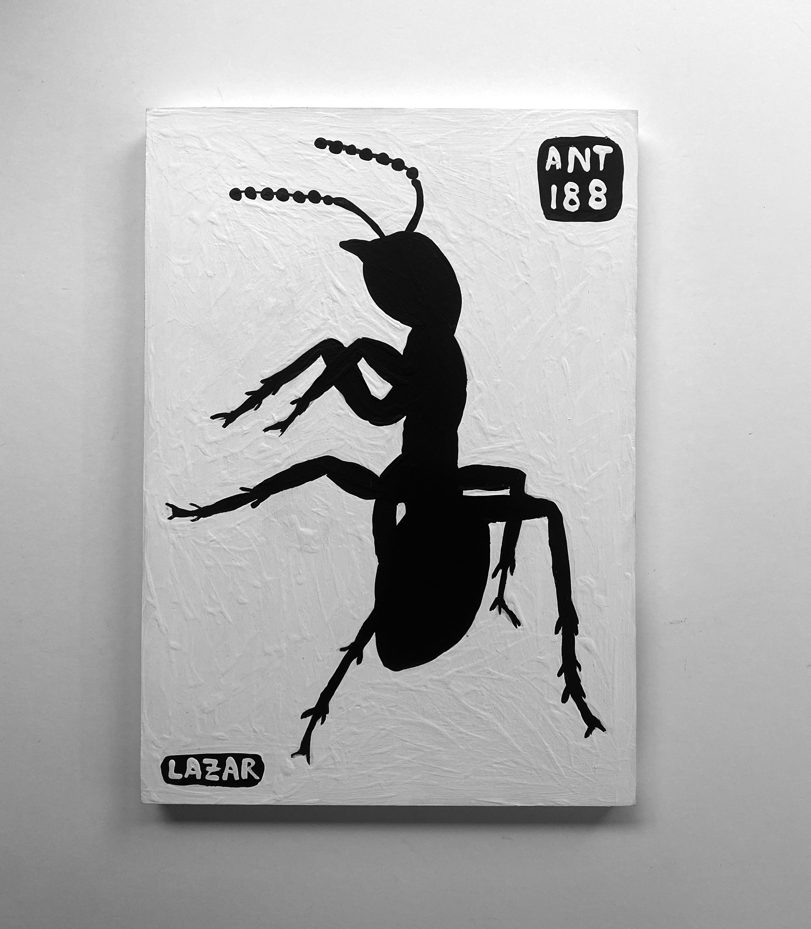 Ant #188