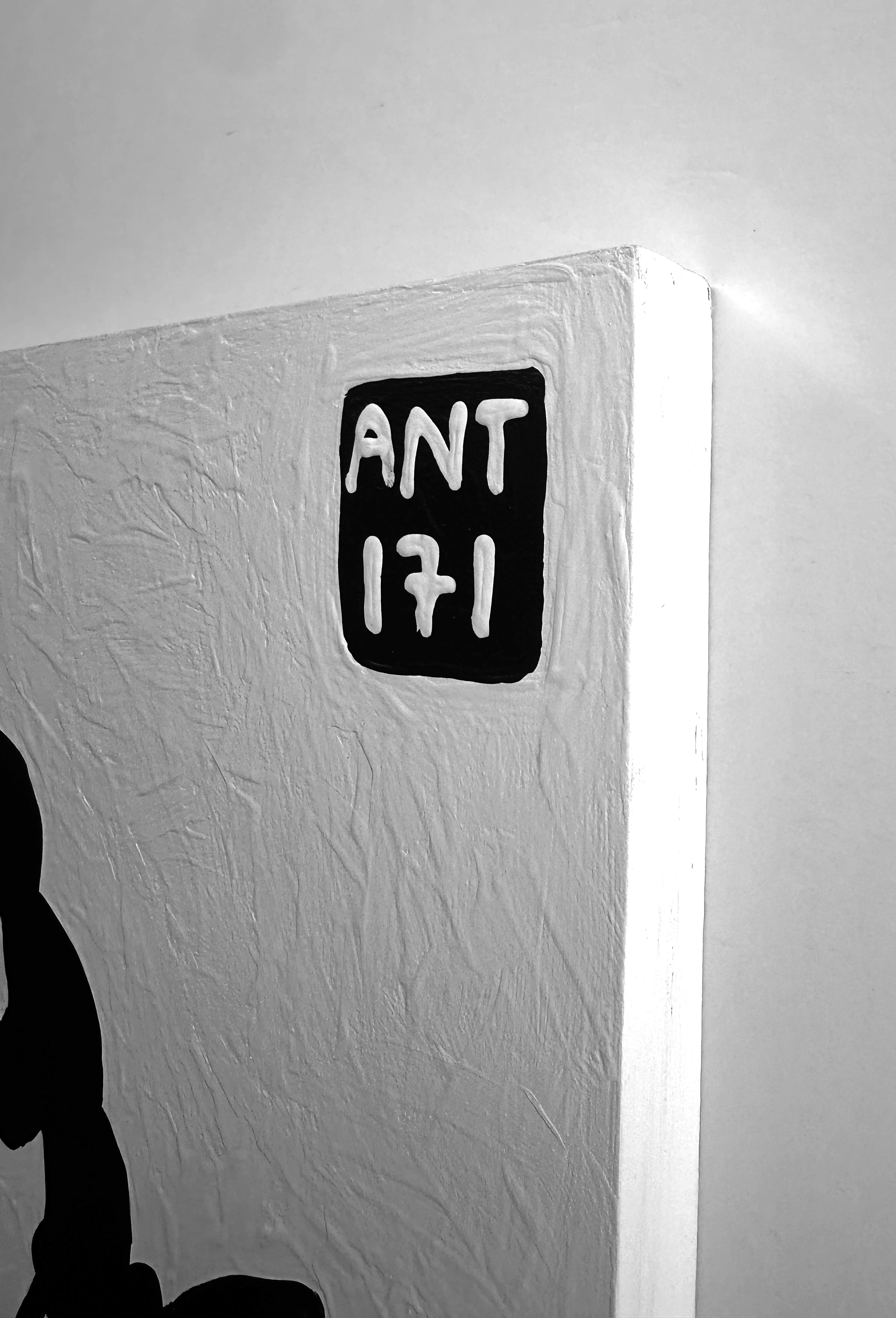 Ant #171