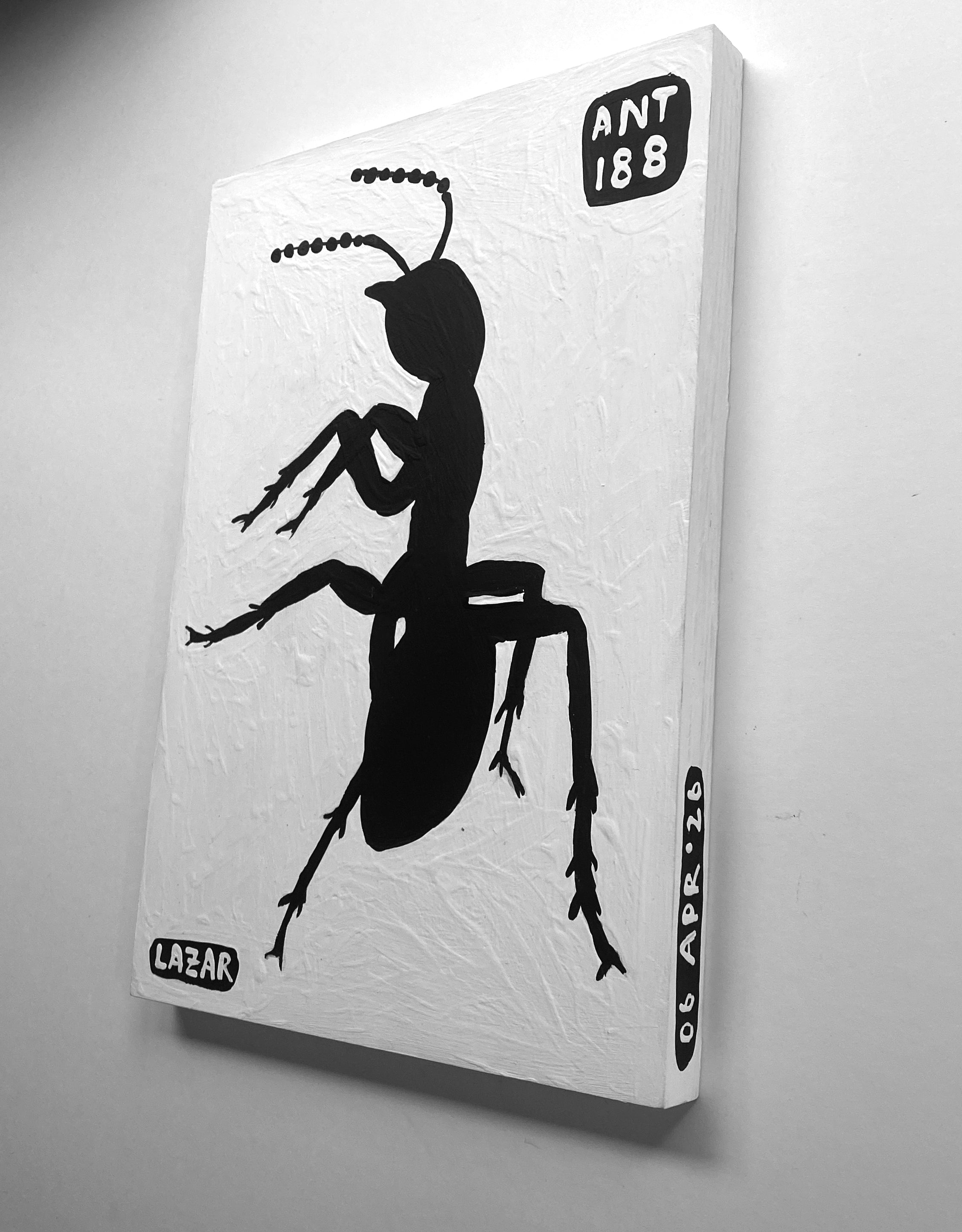 Ant #188