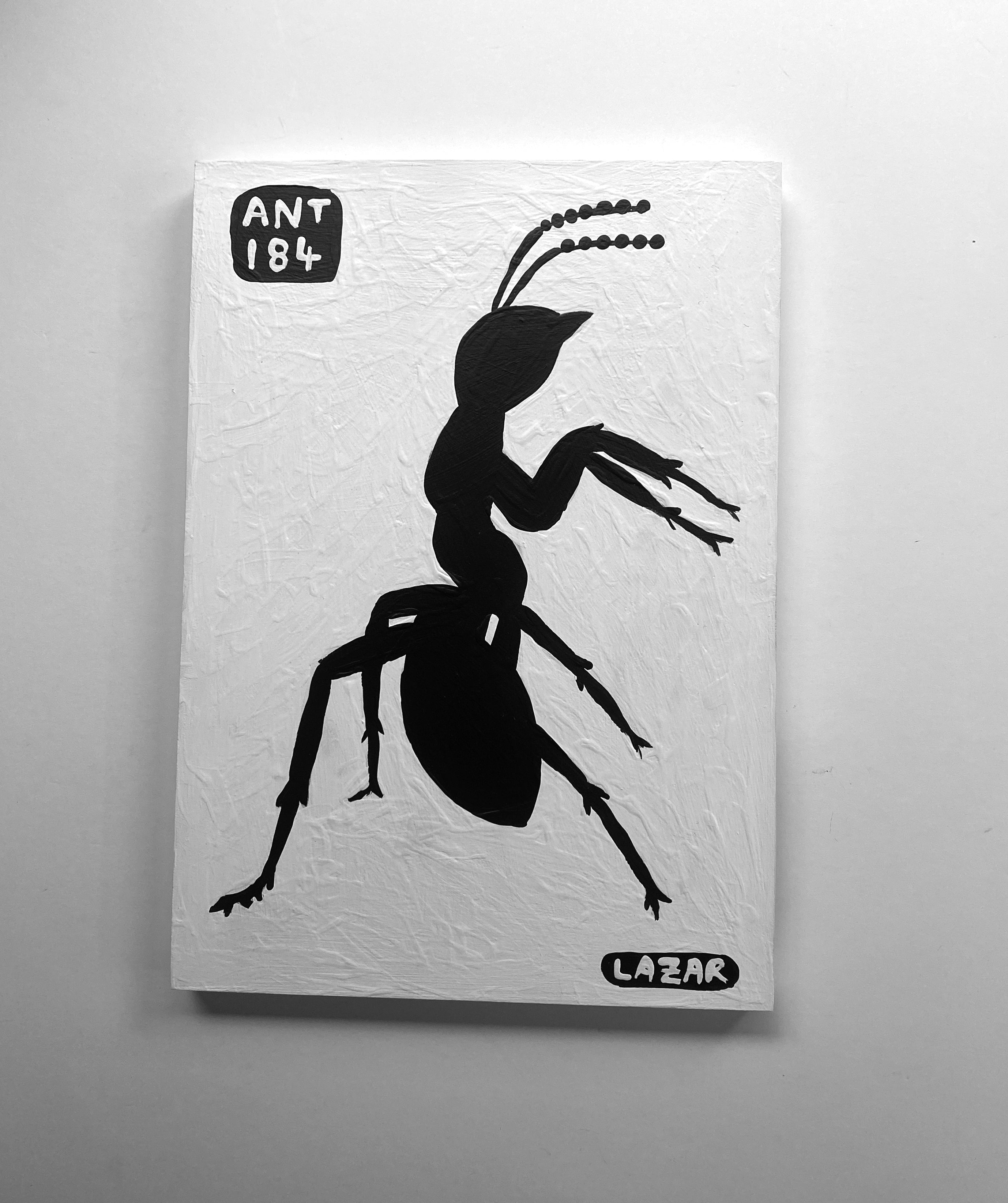 Ant #184