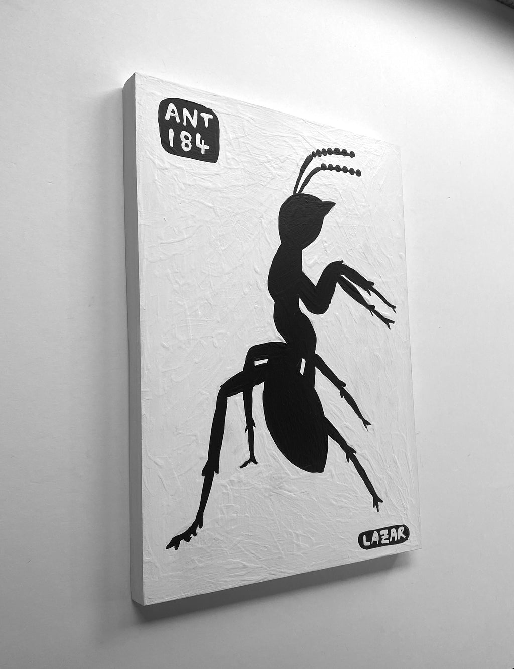 Ant #184