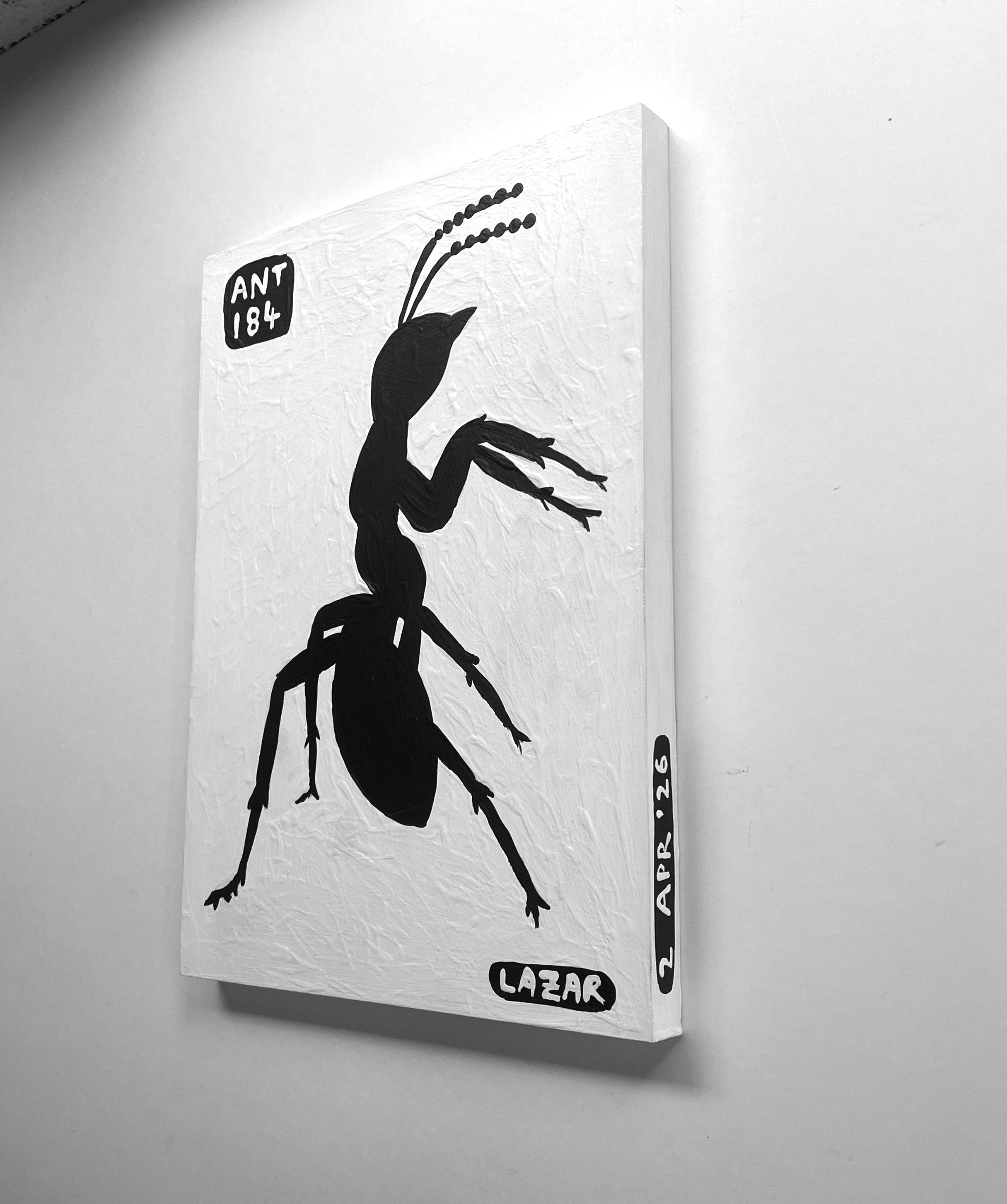 Ant #184