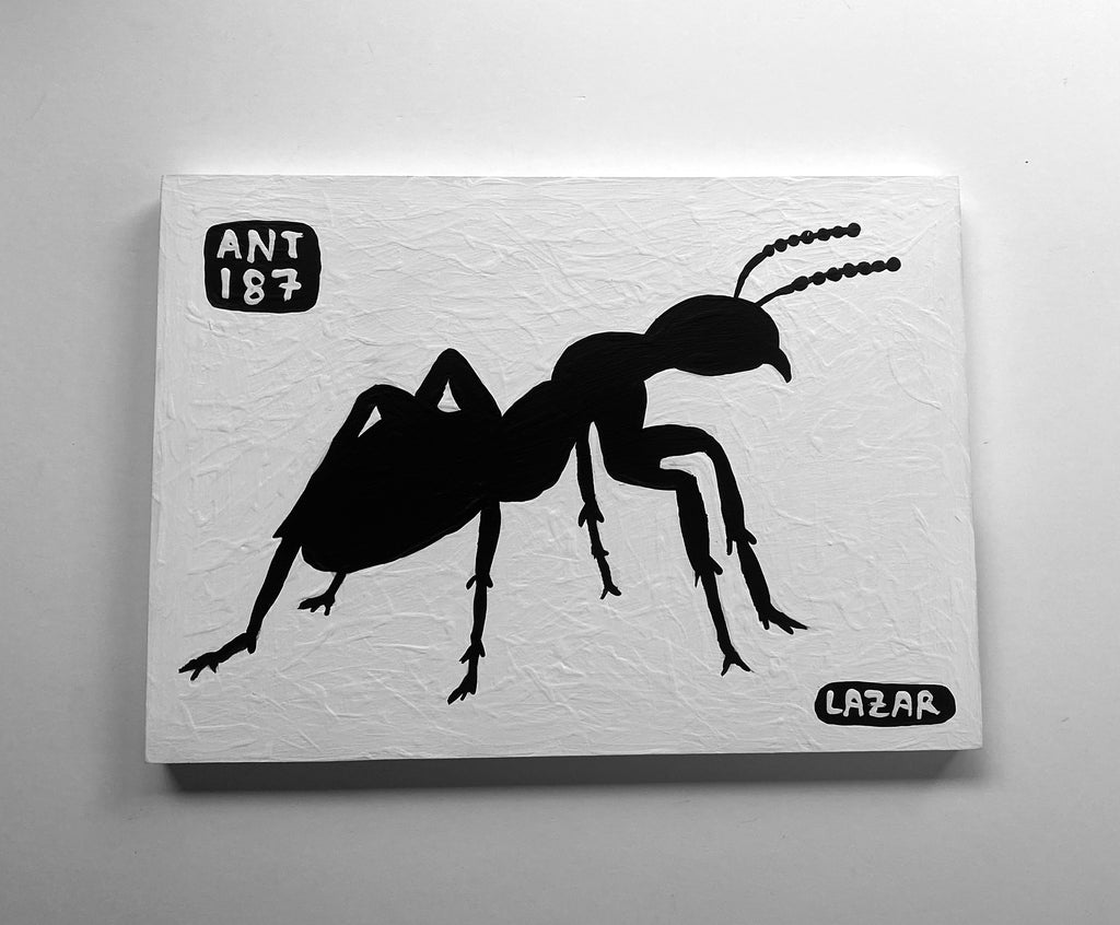 Ant #187